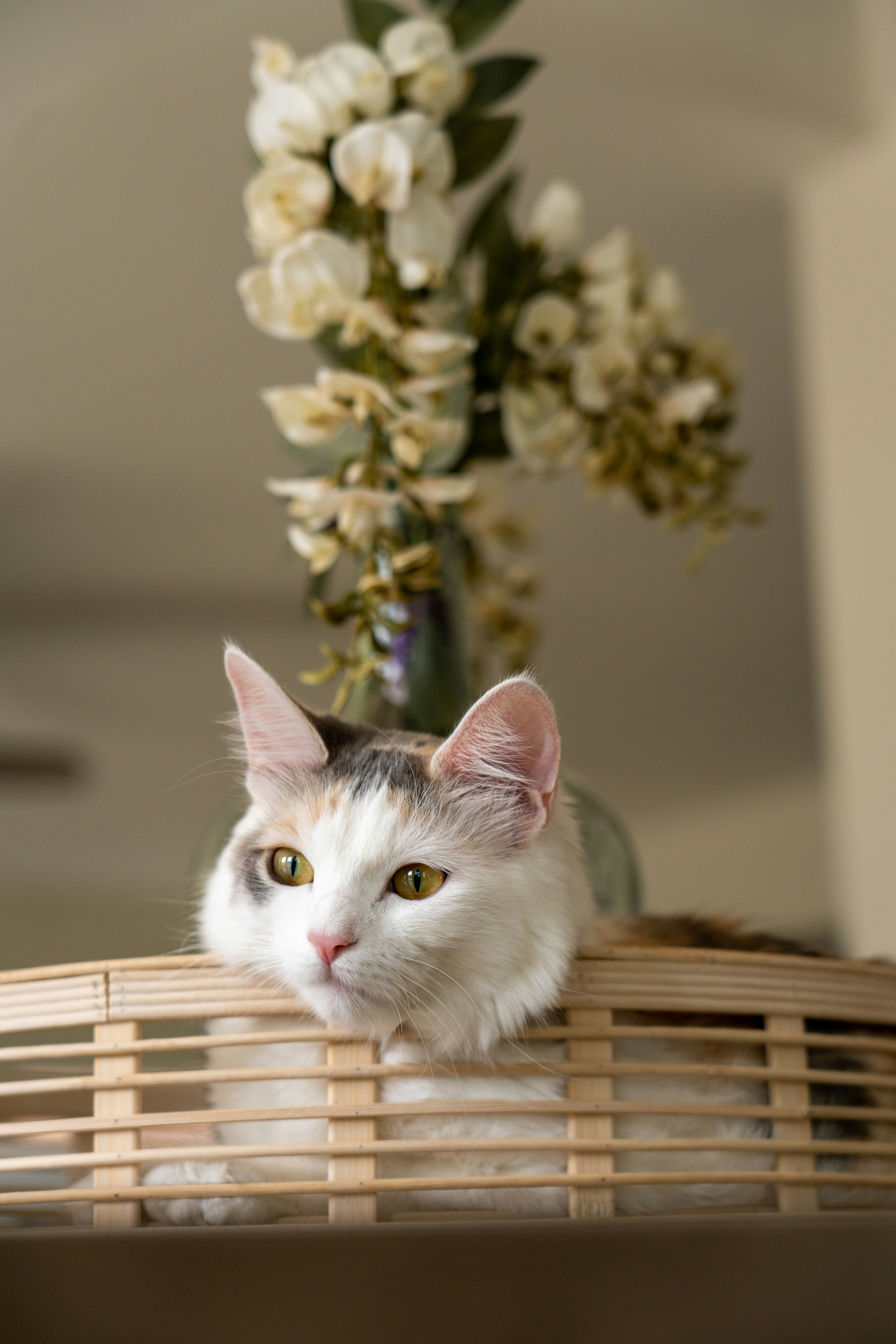 Photo by marty_made_it