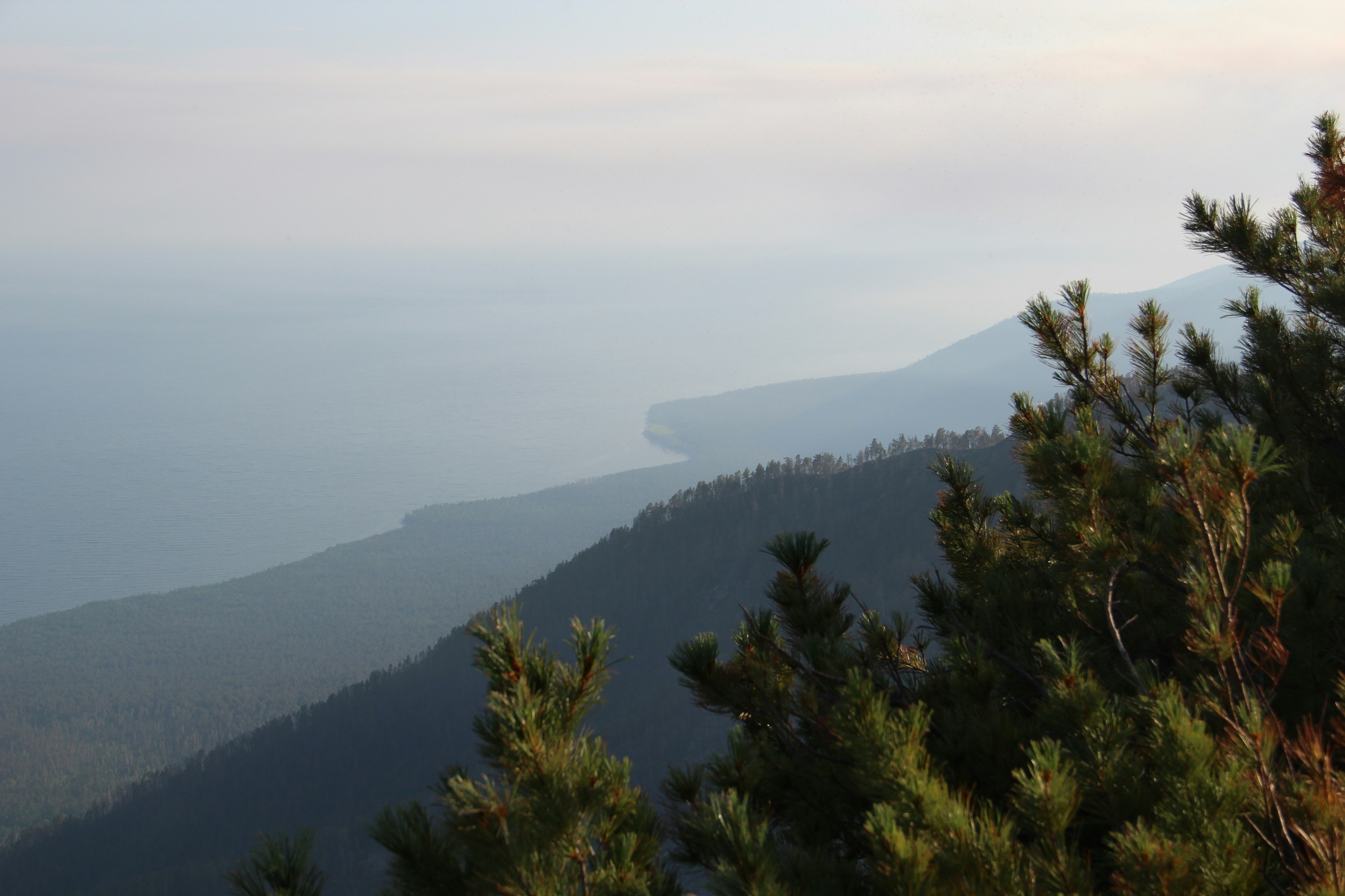 Photo by ellenmilien