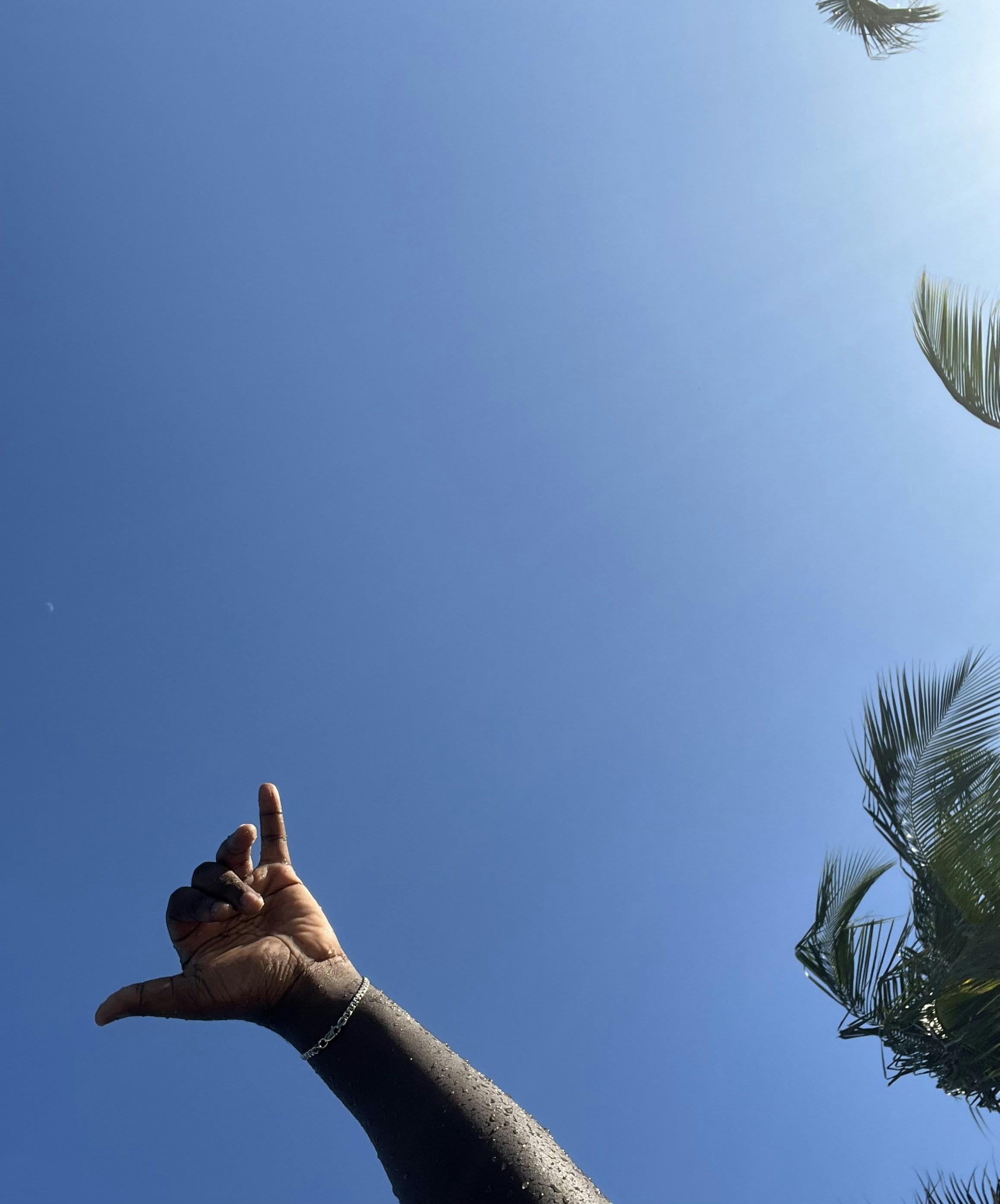 a hand reaching out to a blue sky with palm trees