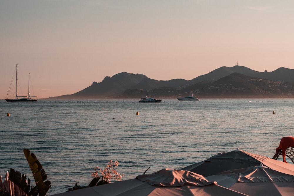 a group of boats in the water