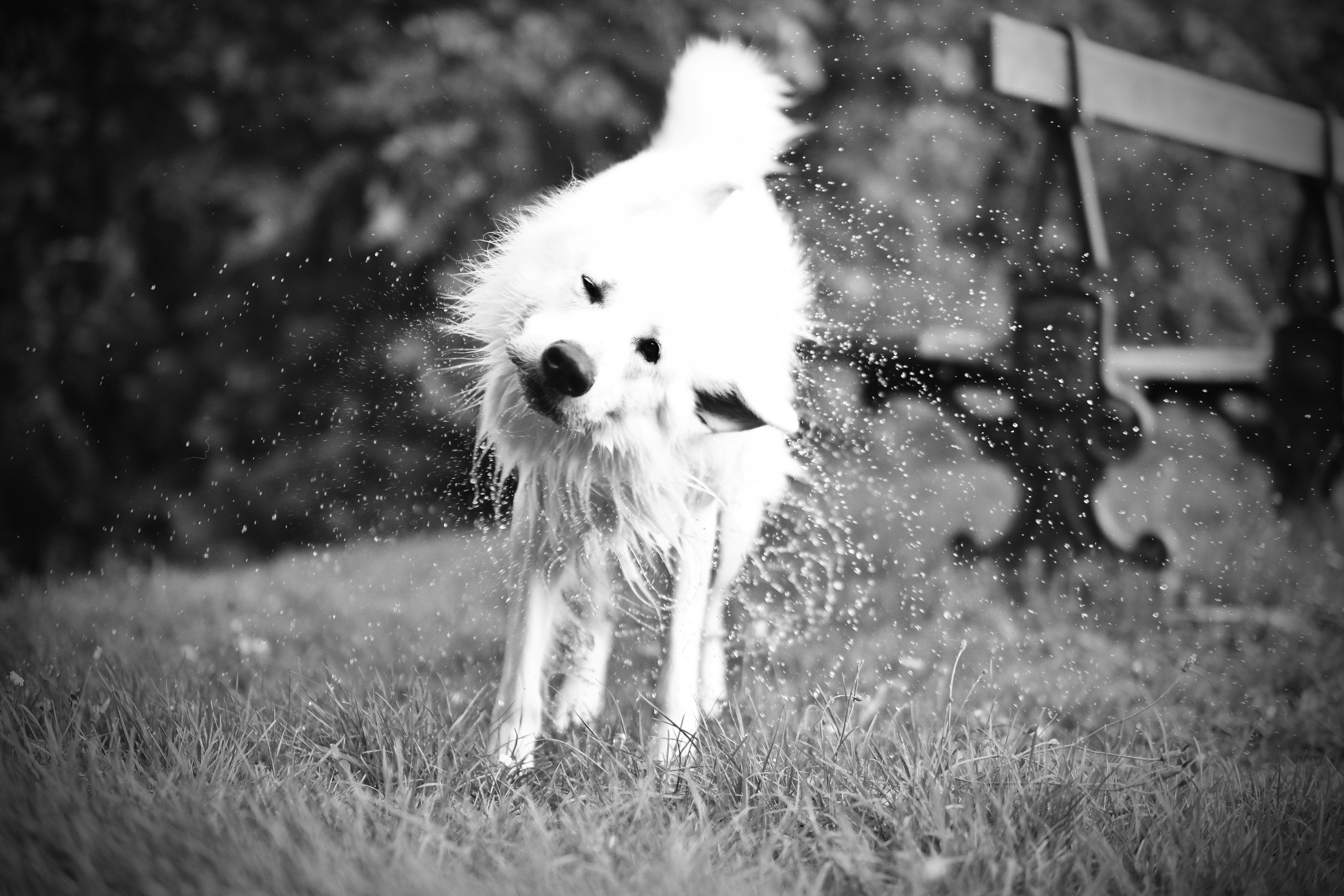 Photo by ourssansplus