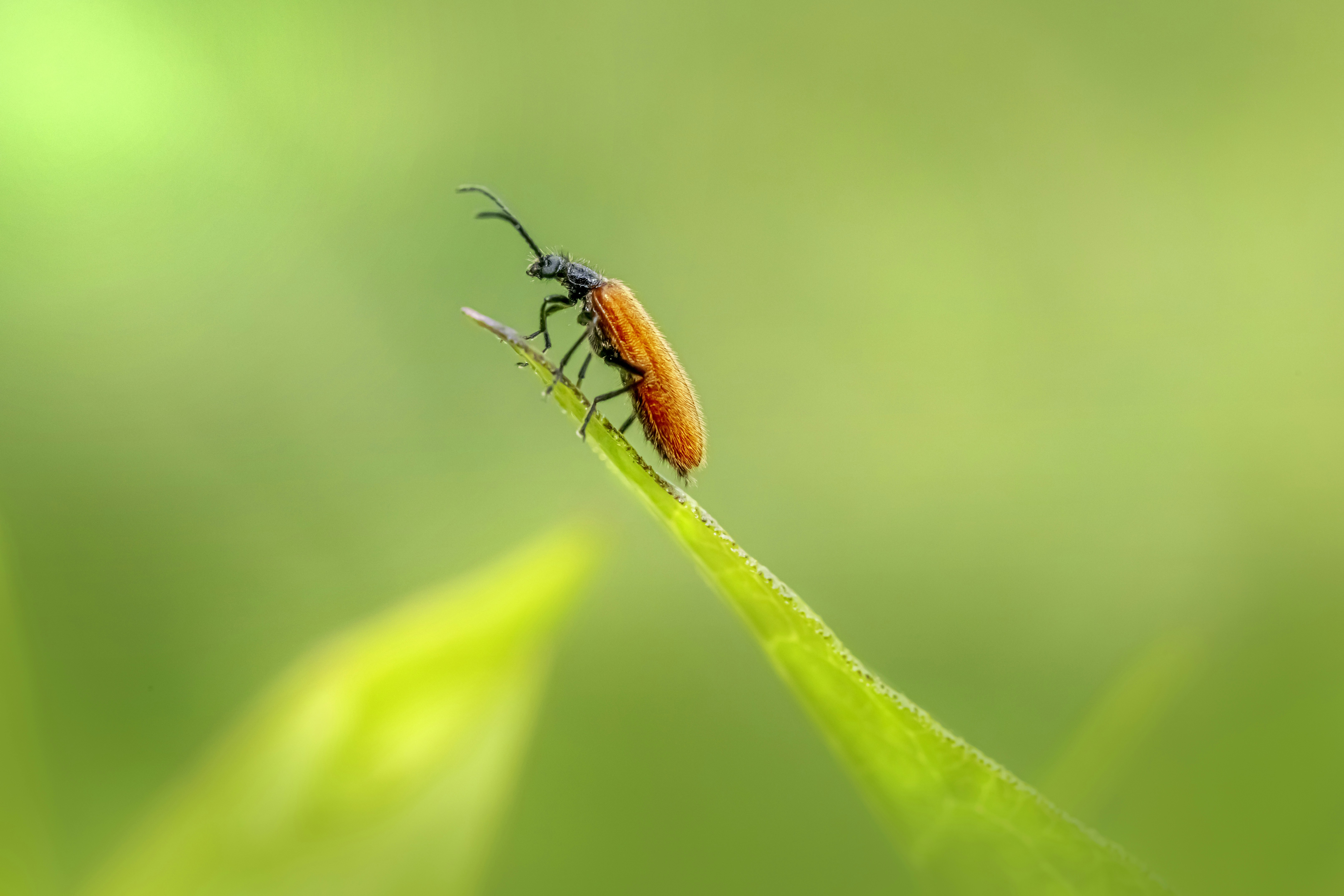 Photo by erik_karits