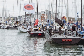 boats in the water