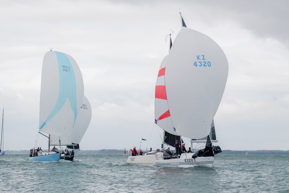 a group of sailboats on the water