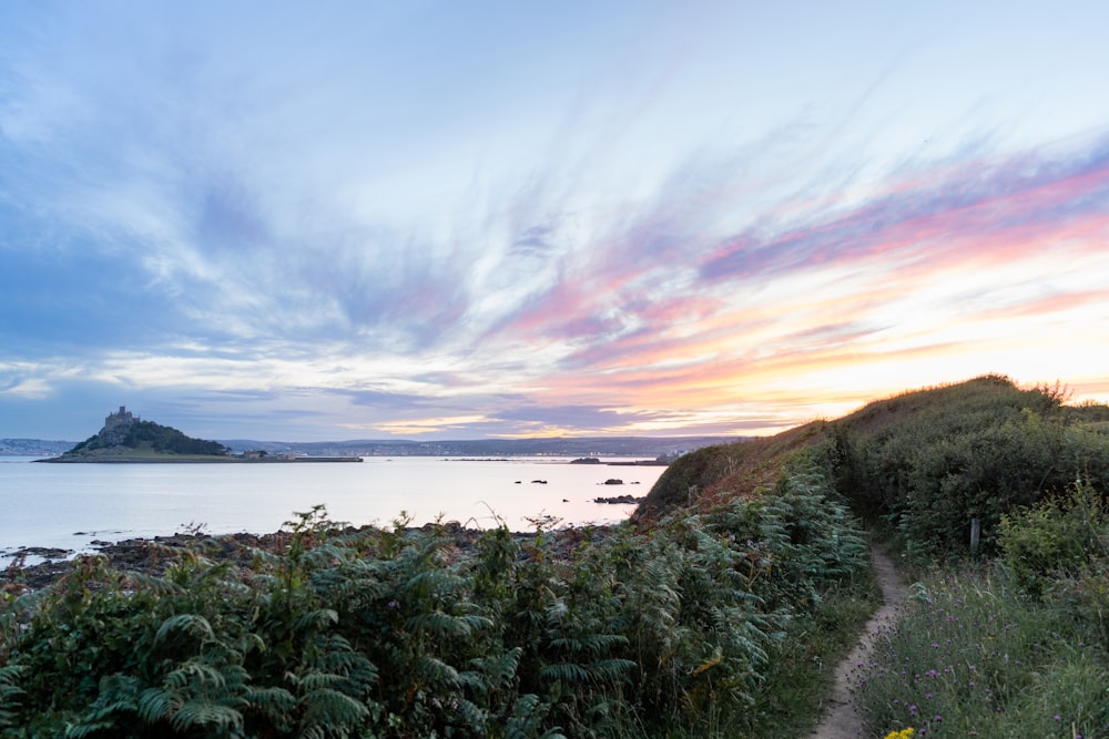 a path leading to a beach