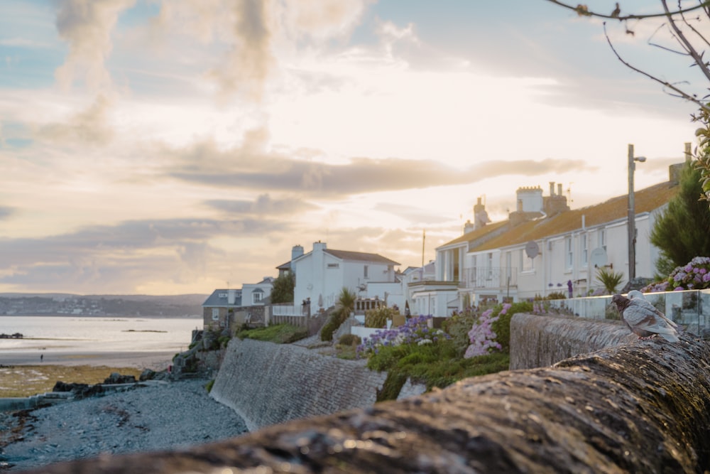 a beach with a row of houses