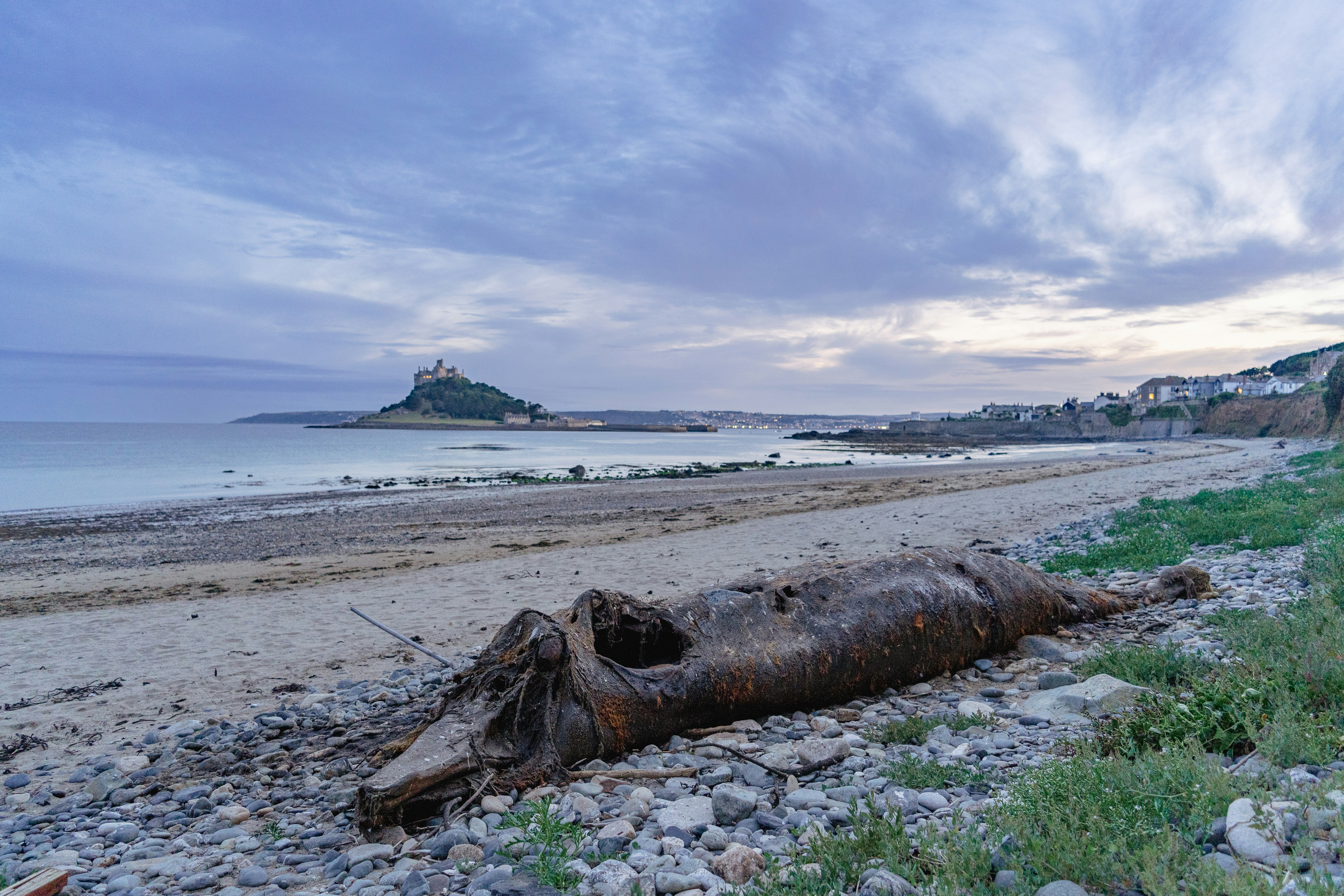 Ilmuwan: 13 Paus Mati, Pertanda yang Mengkhawatirkan
