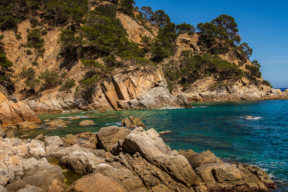 a rocky beach with a hill in the background