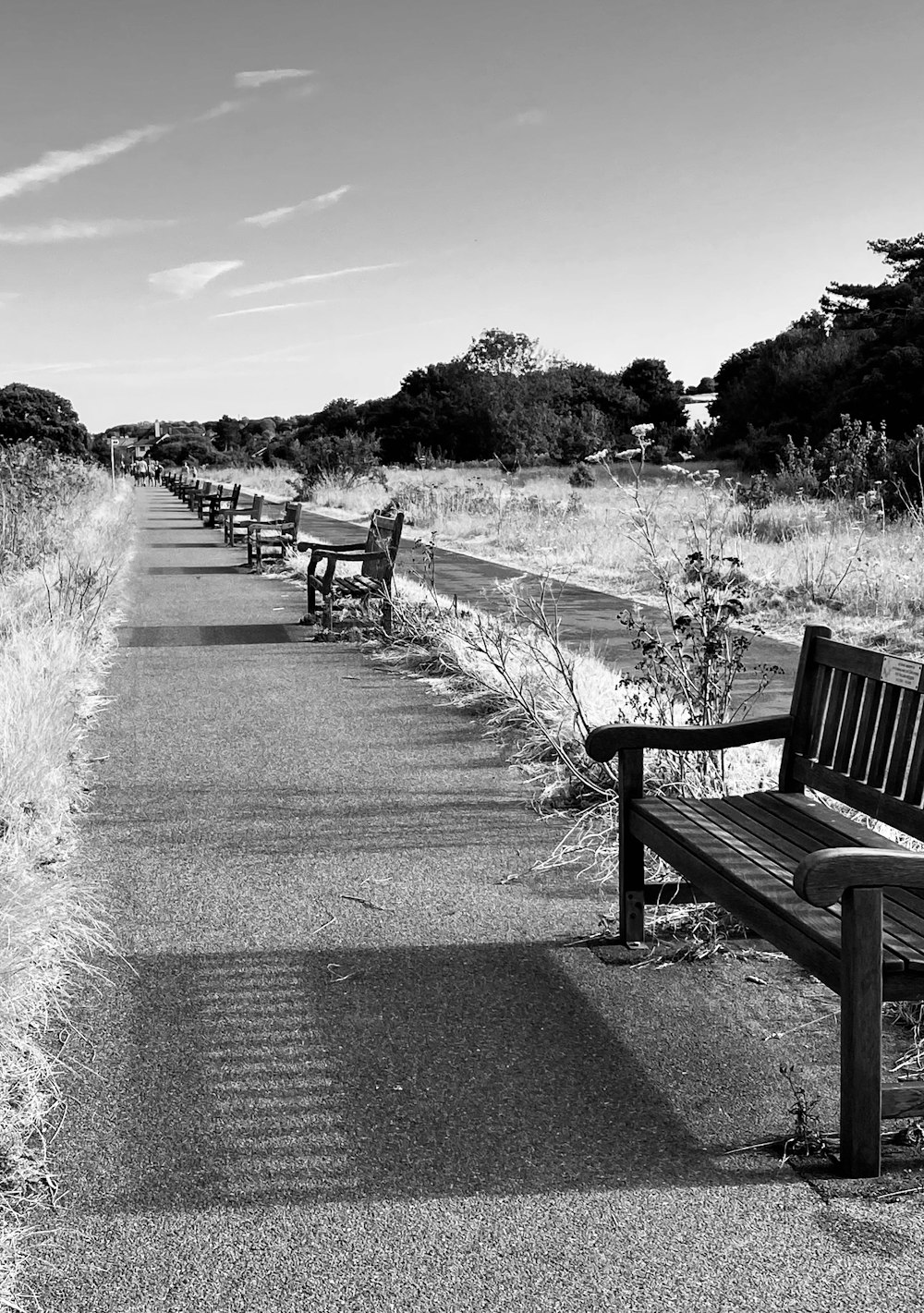 a group of benches sit unoccupied