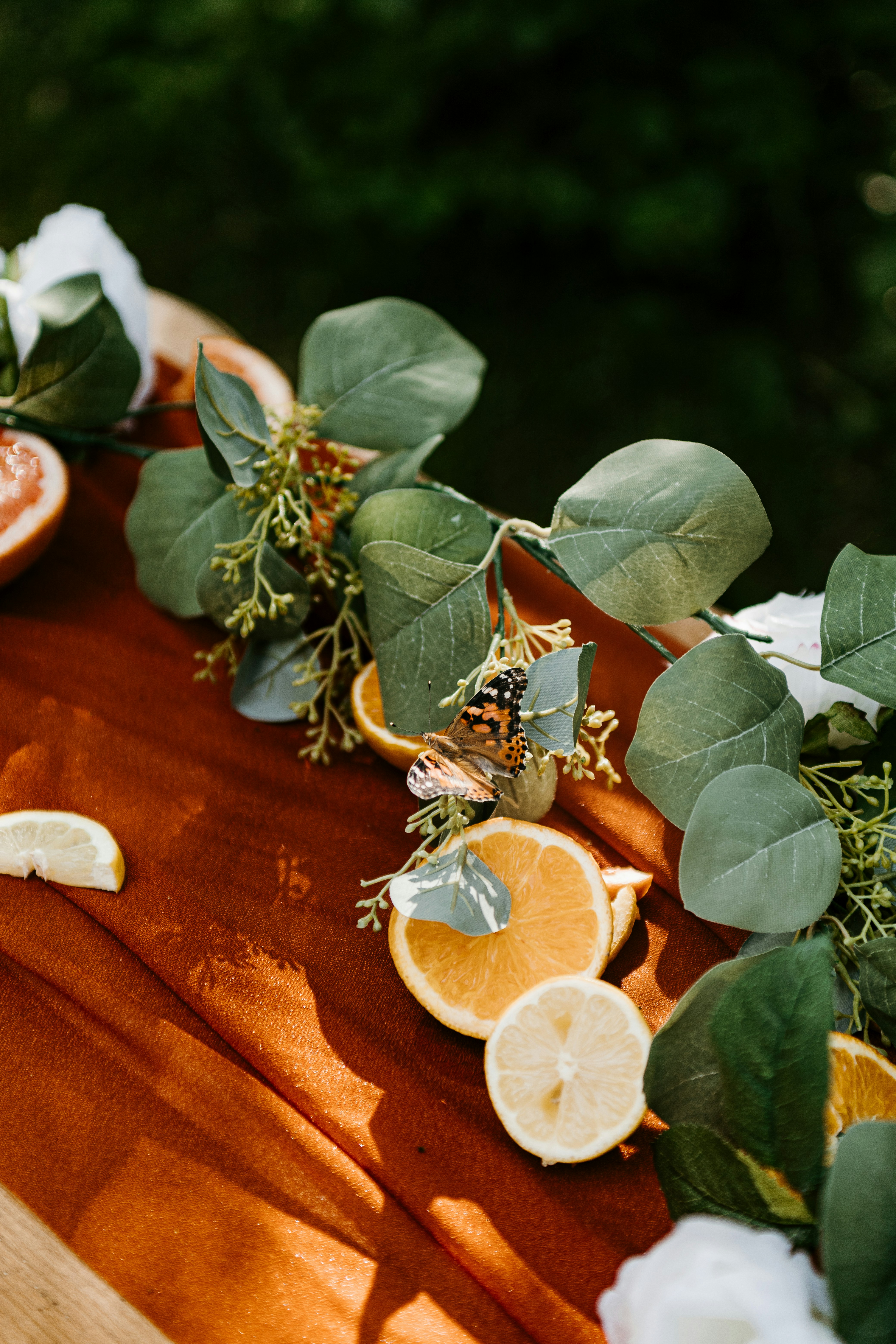 Photo by paupattersonphotography_