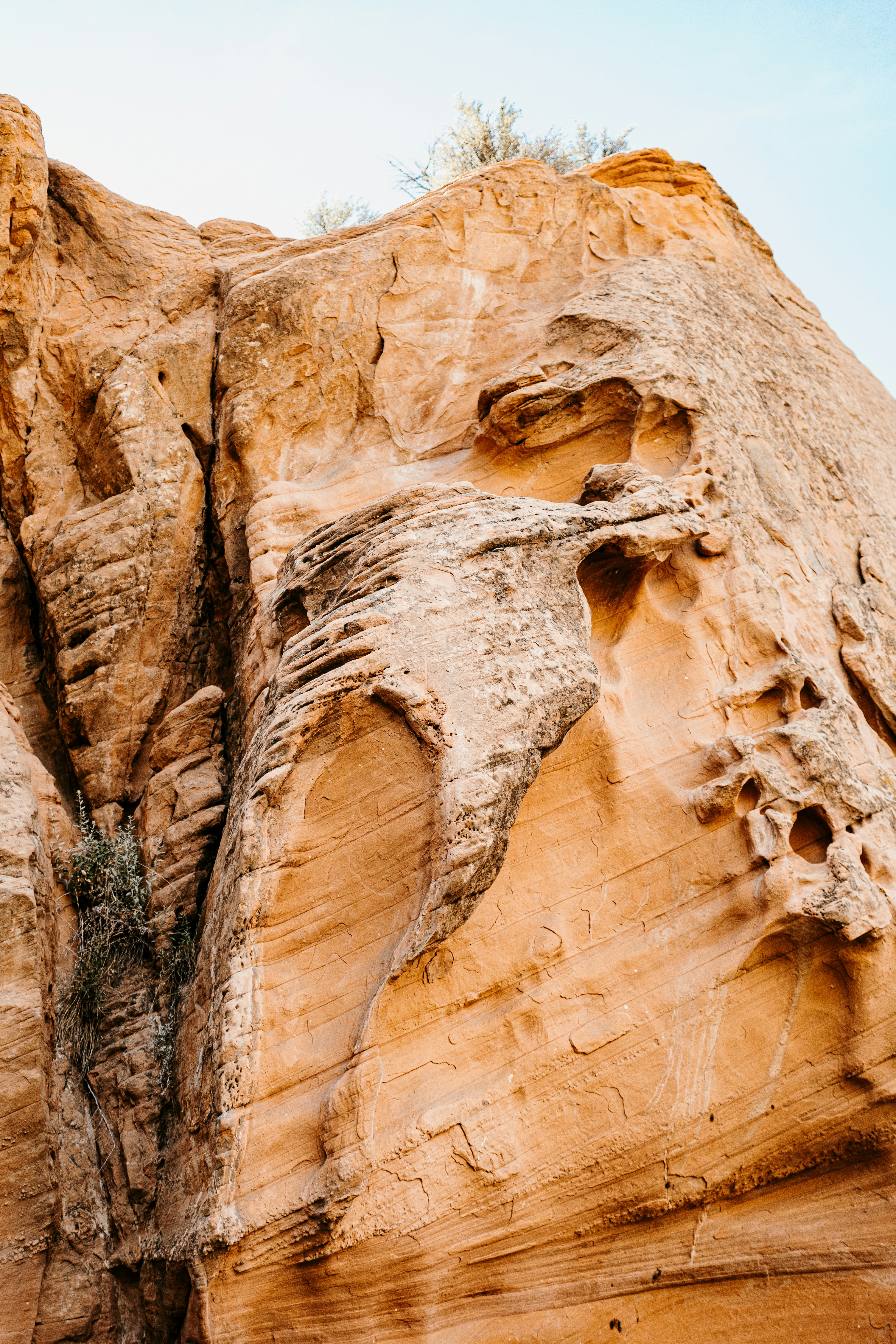 Photo by paupattersonphotography_