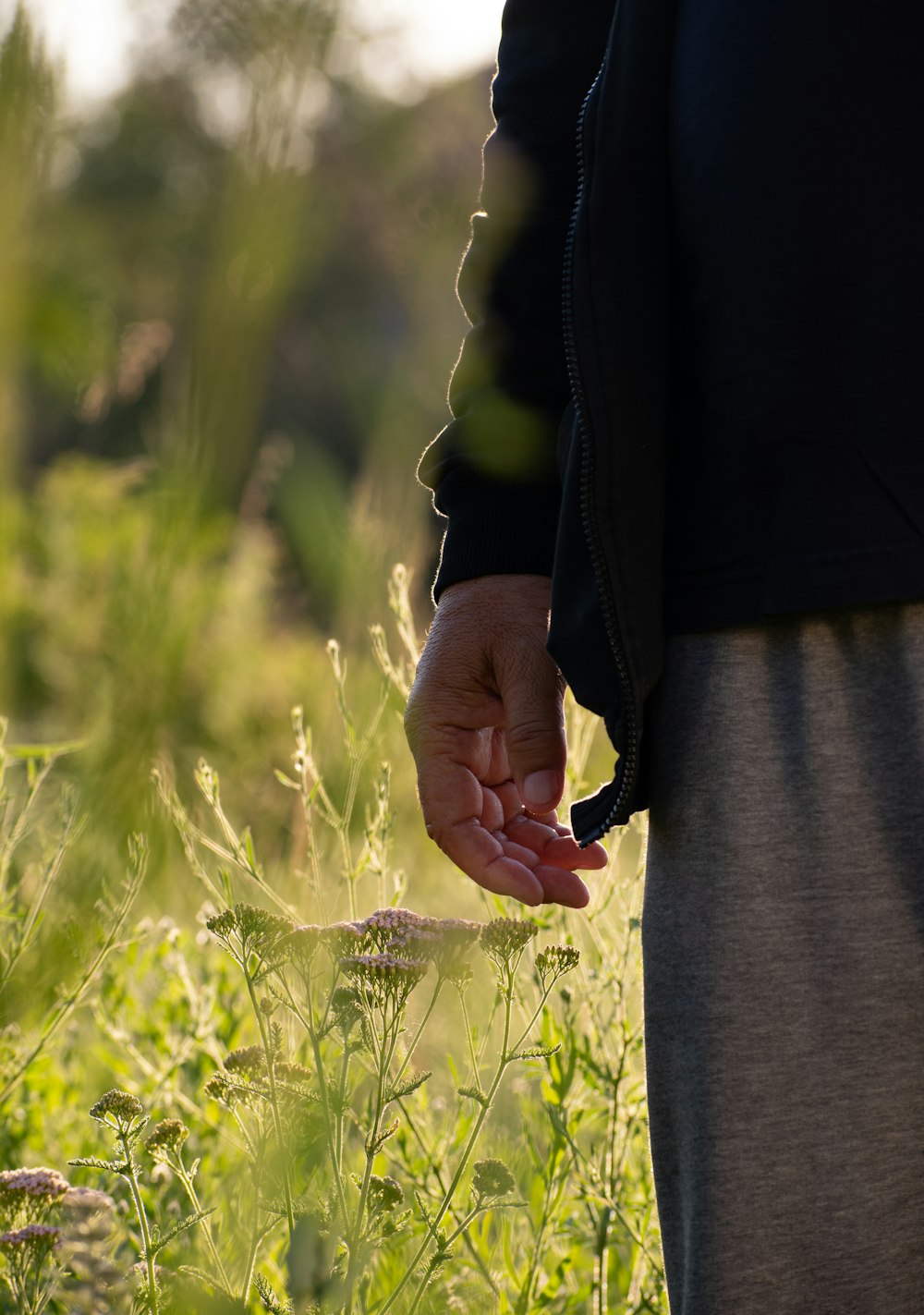 a person holding a small plant