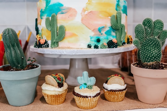 A decorative cake with painted designs in pastel colors features small edible cacti on top. Surrounding the cake are cupcakes decorated with mini cacti and taco motifs. The pastries are accompanied by real cacti in simple pots, enhancing the desert theme.