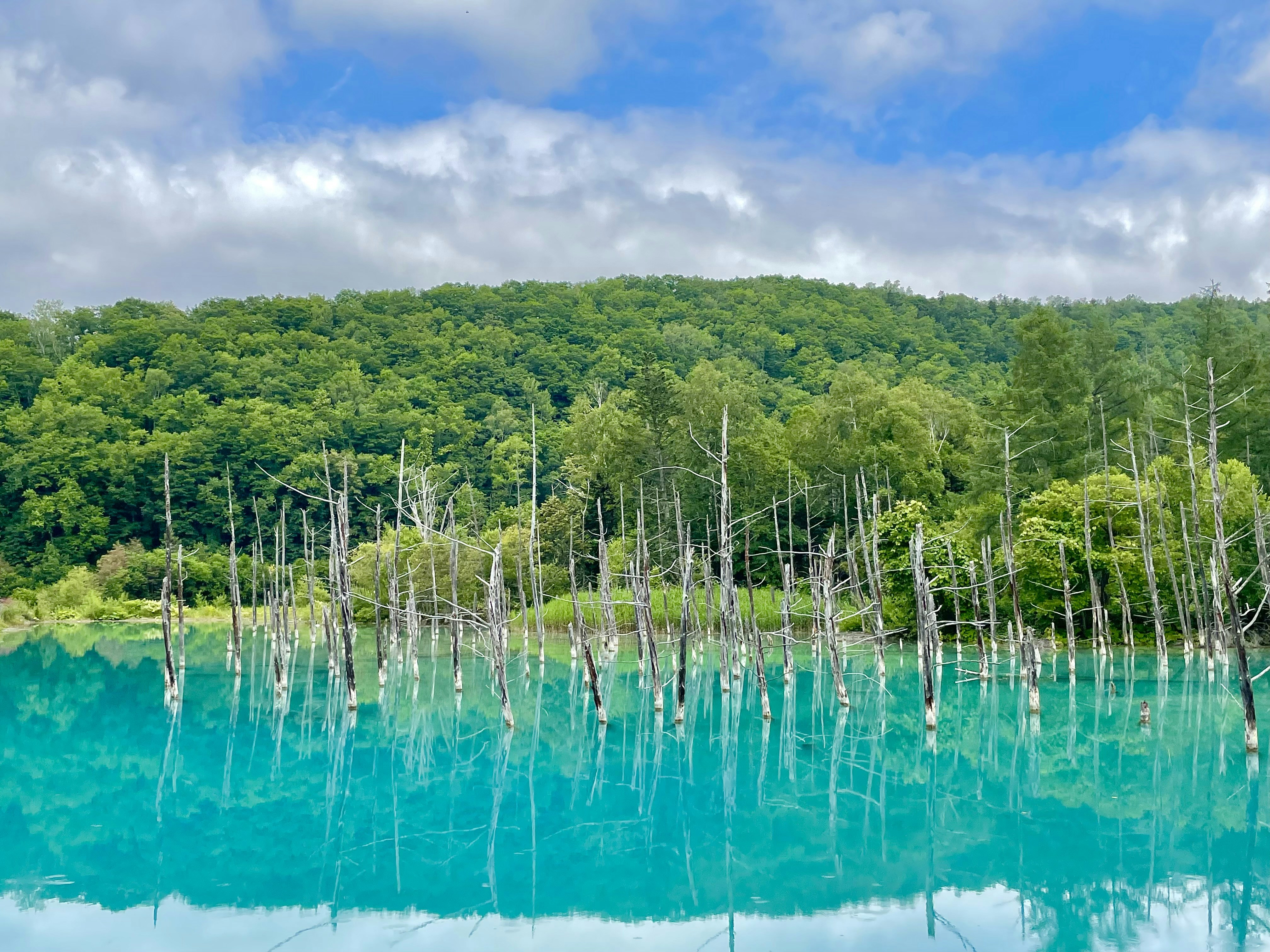 Nature produces the most astoundingly beautiful images: the swirling lava of a volcano, palm trees against a blue sky, snow-capped mountains towering above. Unsplash has magnificent , high-quality photos of all the delights that nature has to offer.