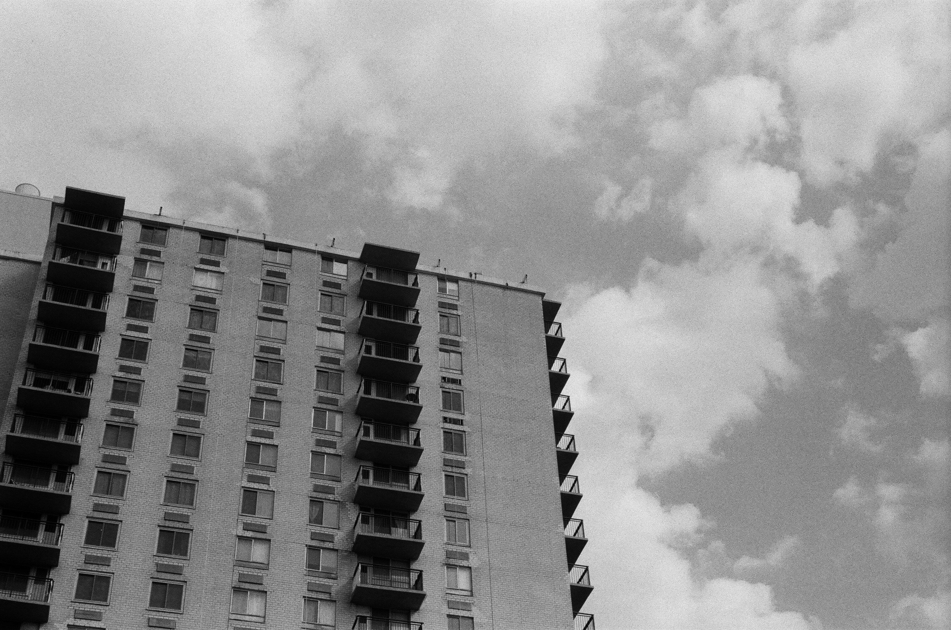 Photo by gabrielalmanzar