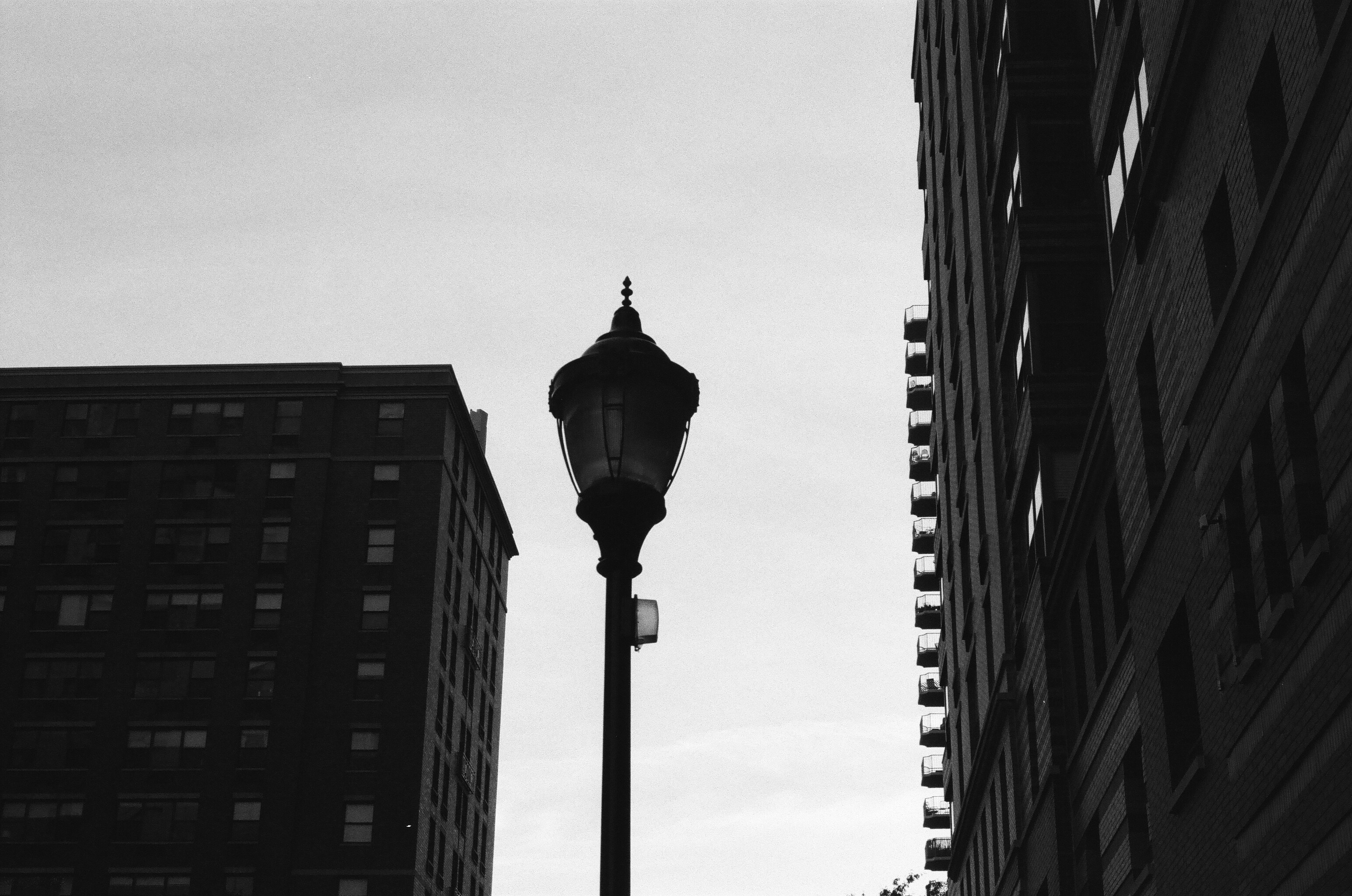 Photo by gabrielalmanzar