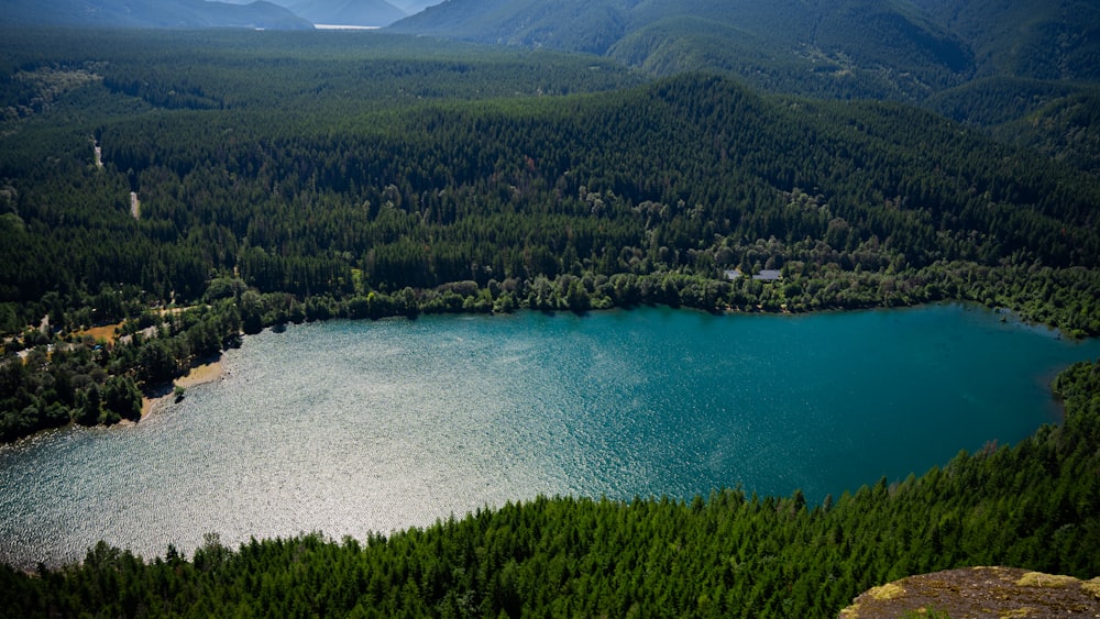 a lake surrounded by trees