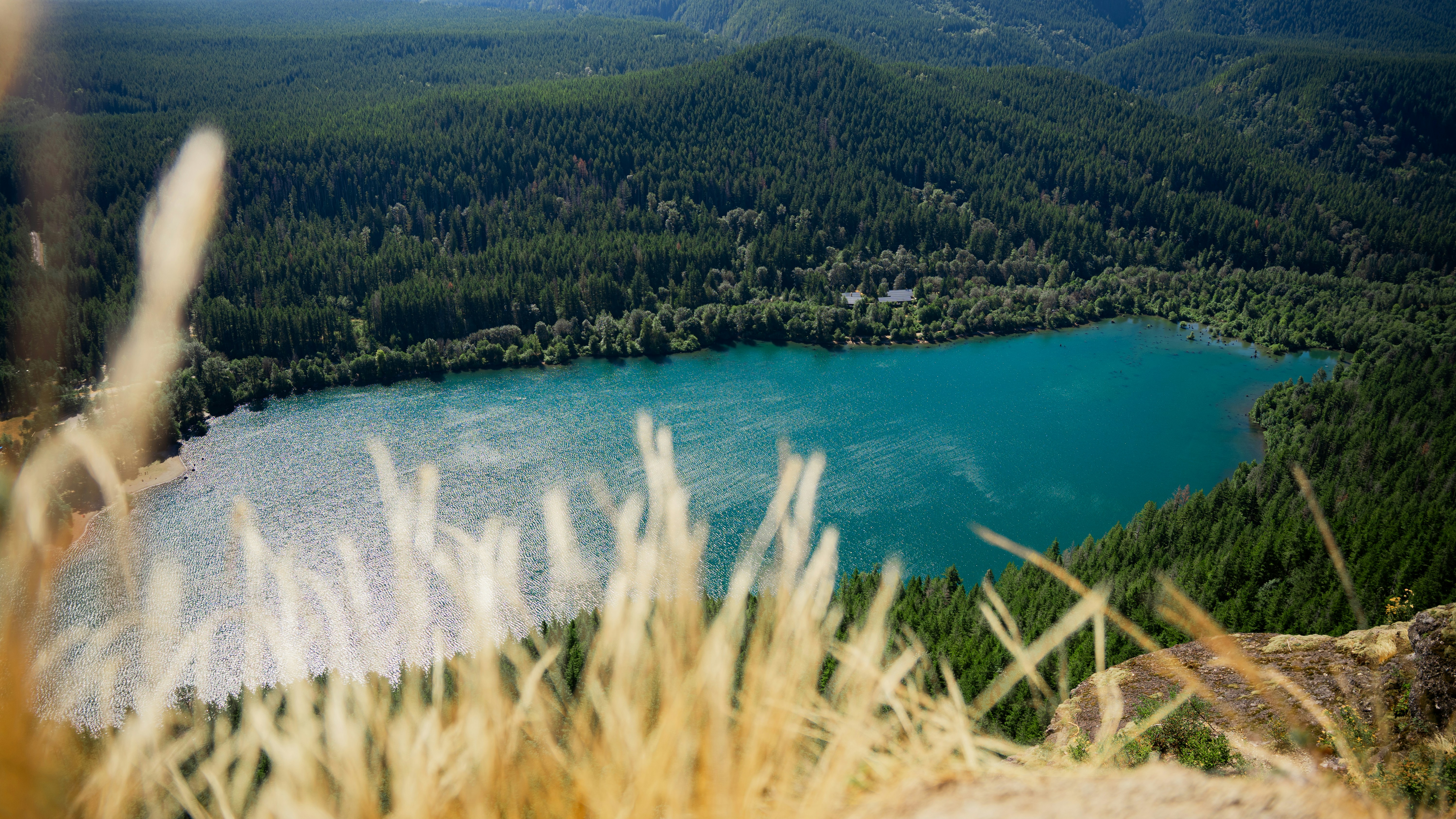 A lake surrounded by trees photo Free Rattlesnake ledge trailhead