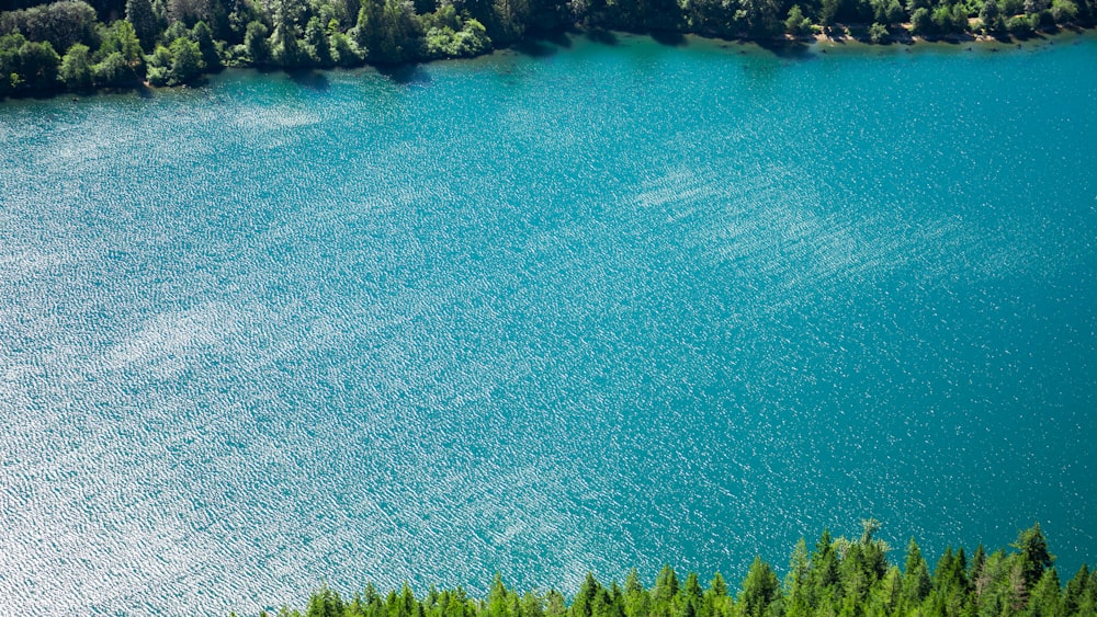 a body of water with trees around it