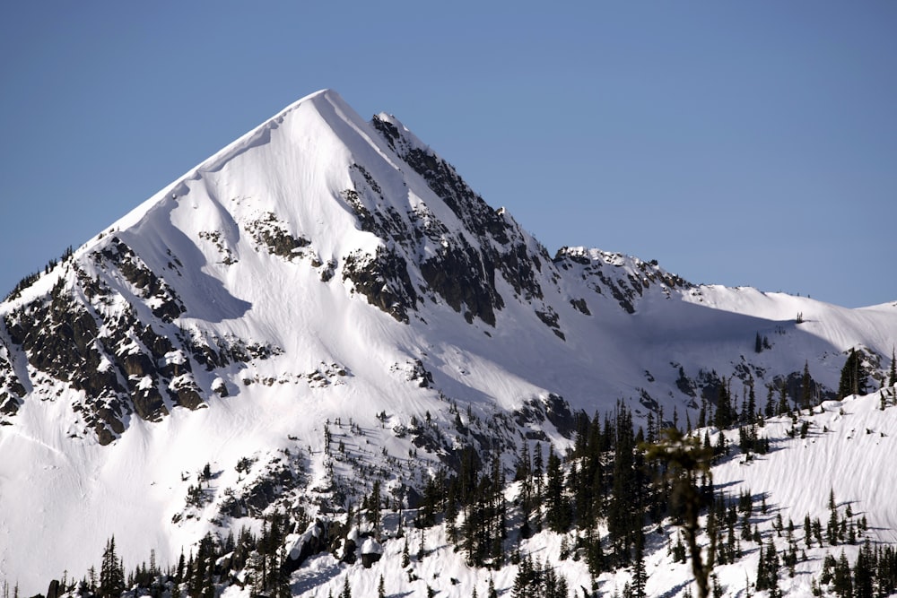 a snowy mountain with trees