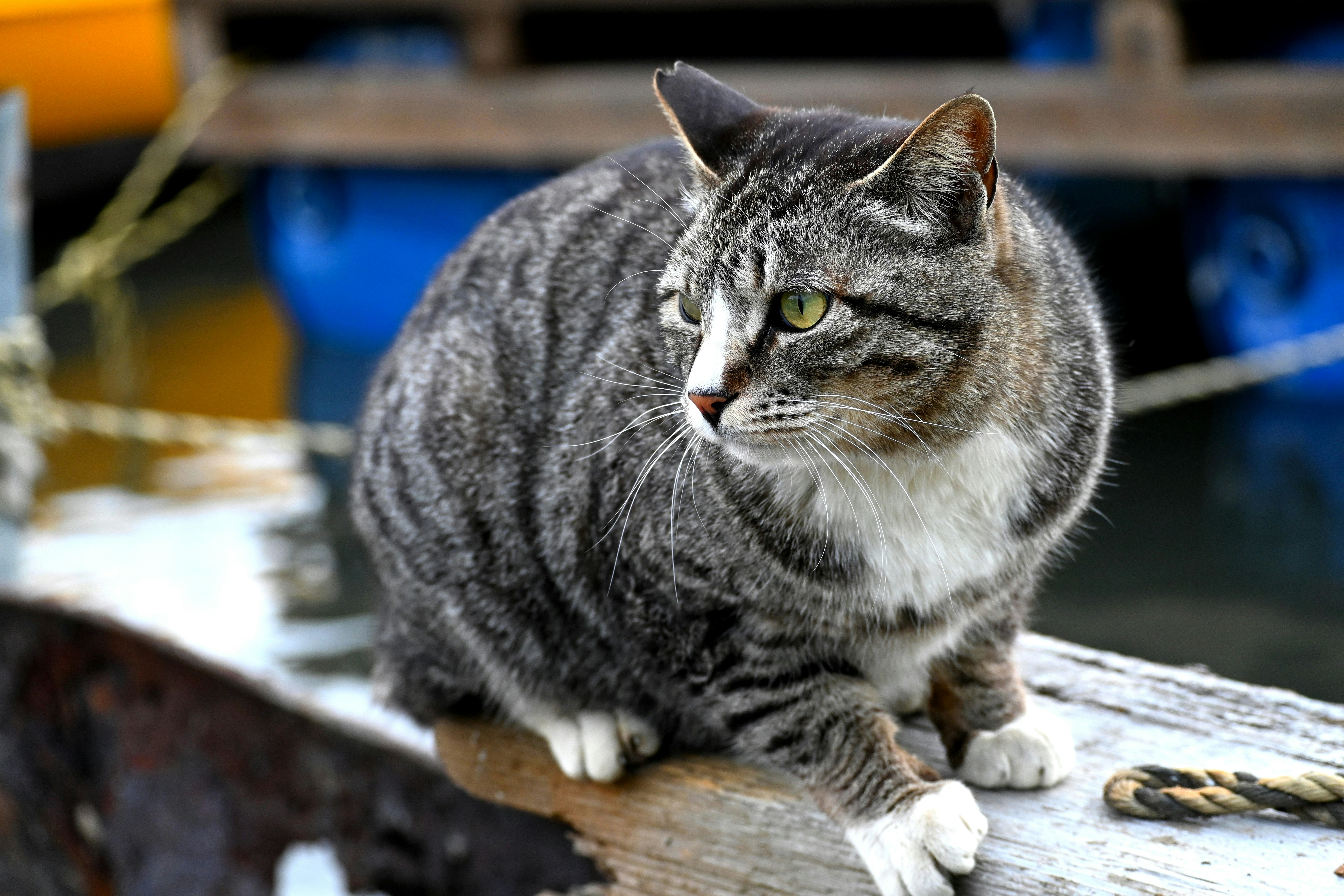 Disease Patterns Are Shifting Across Populations (image credits: unsplash)