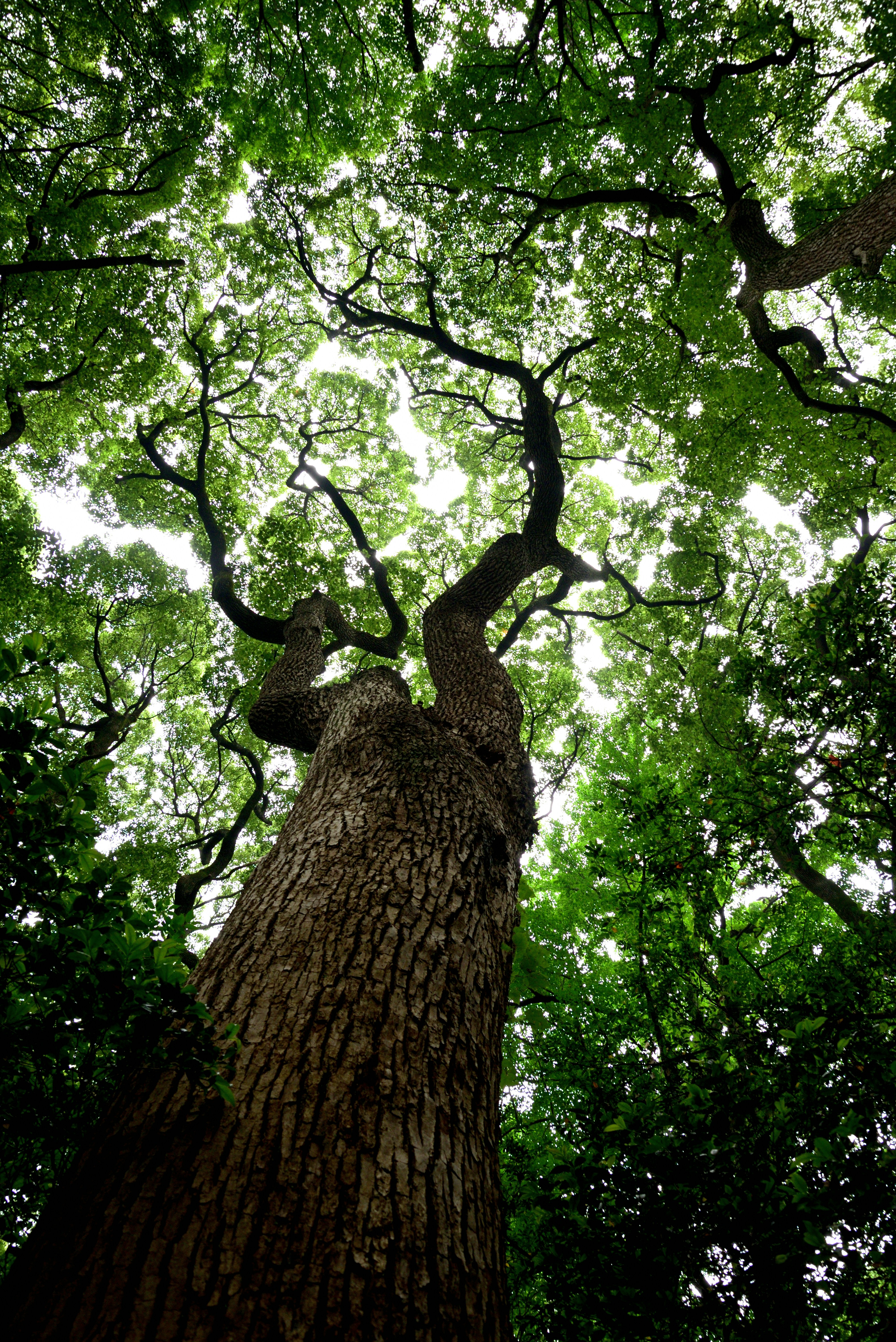 Photo by frogman1962