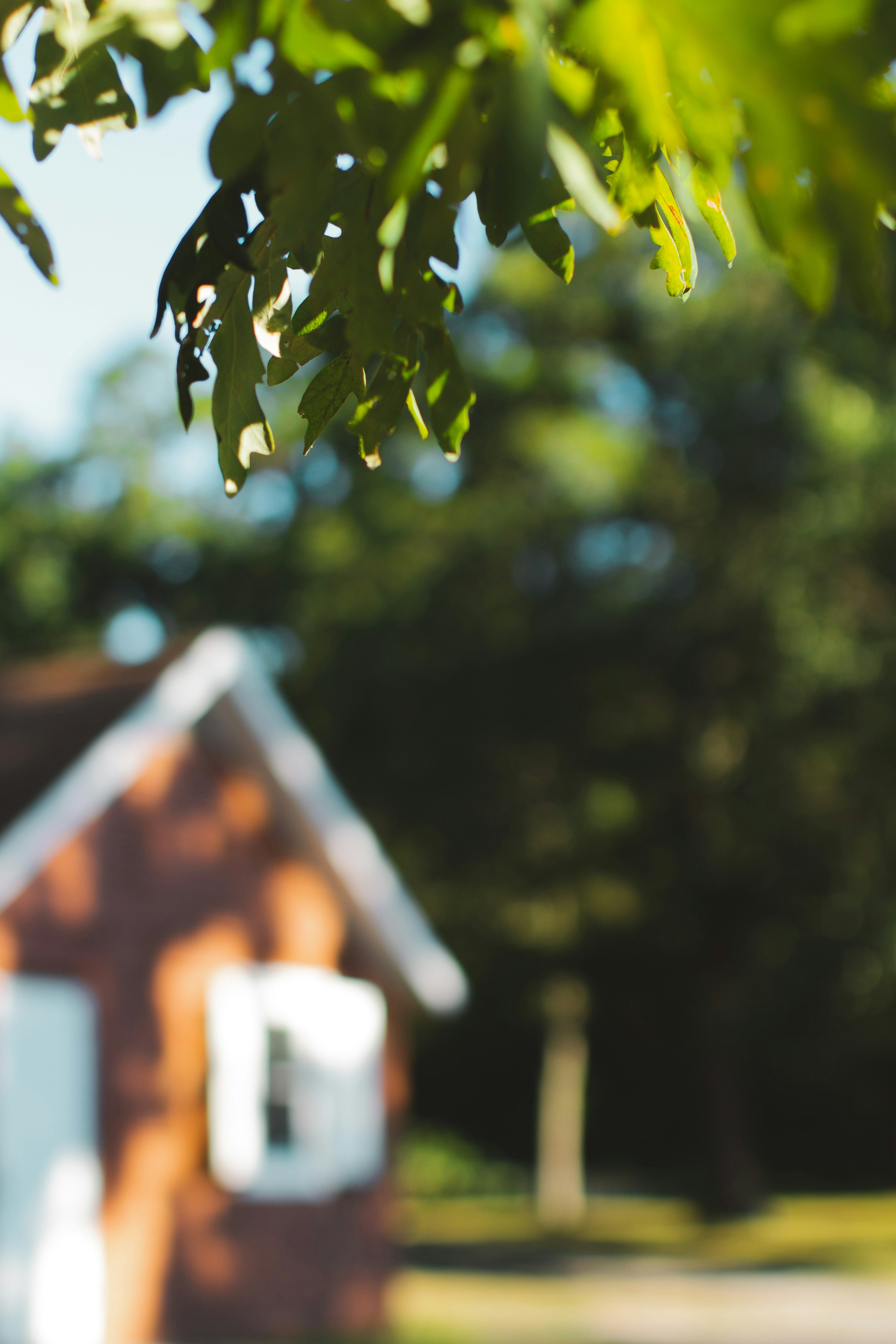 Photo by emmanuelphaeton