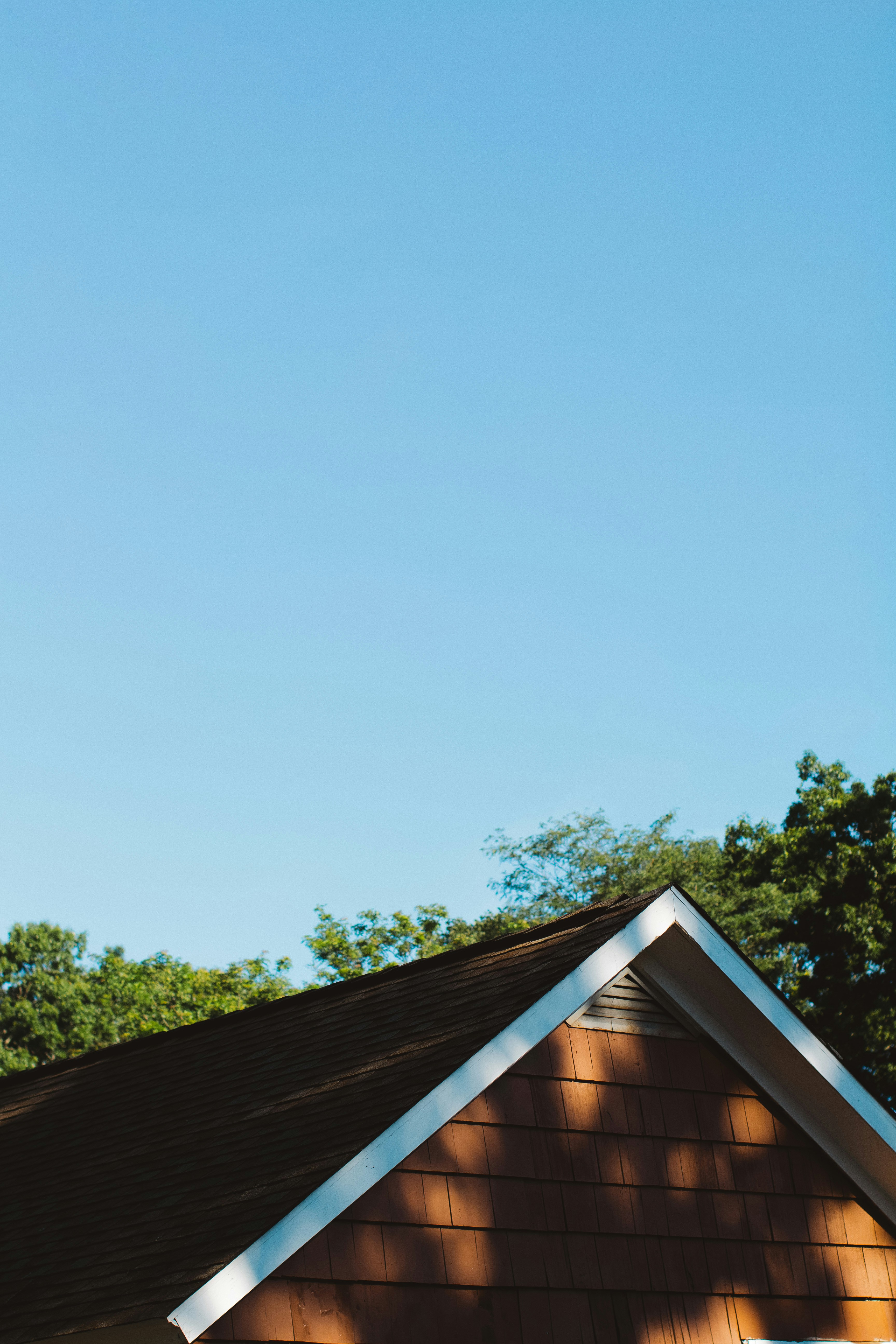 a roof with trees in the background