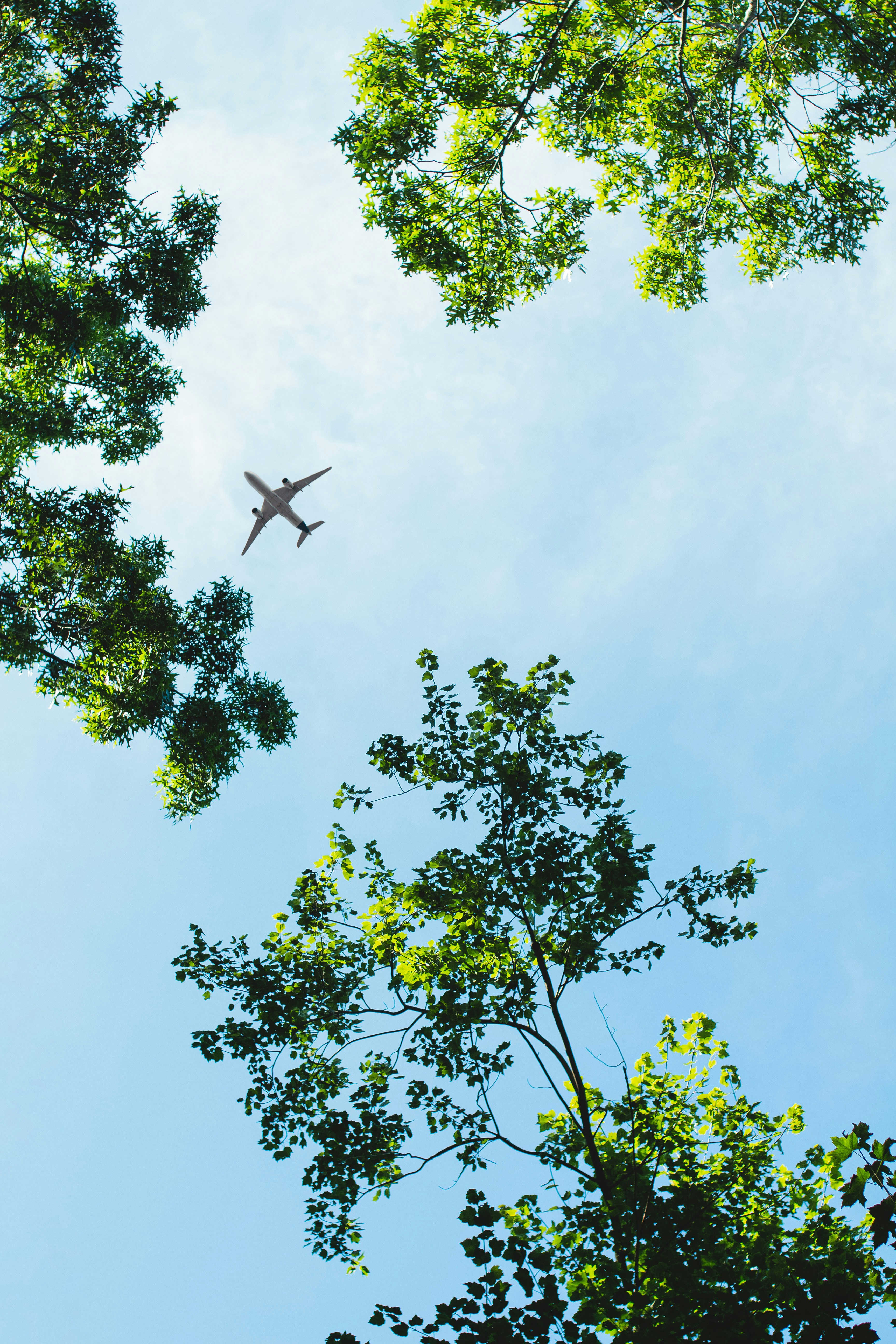 a plane flying in the sky