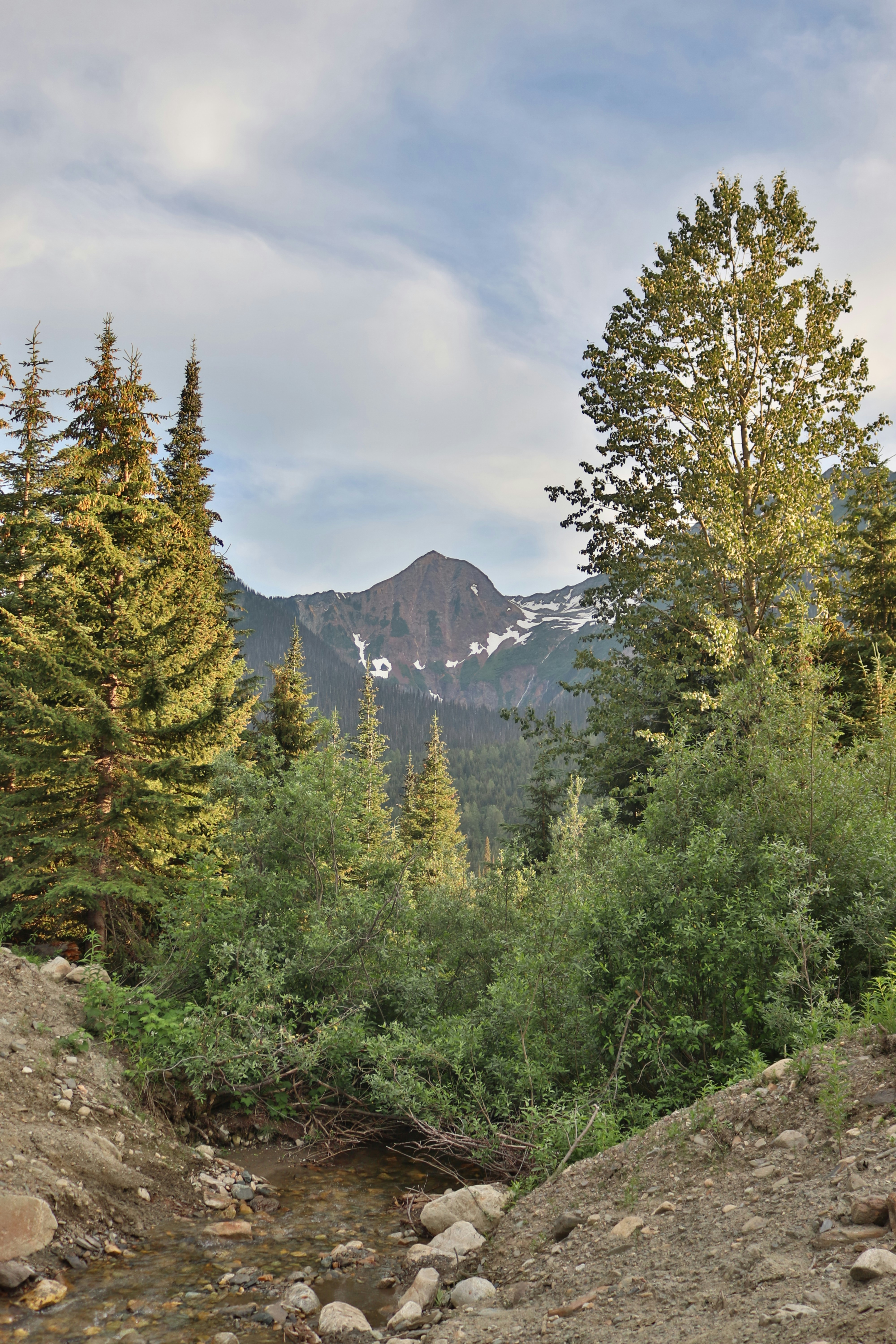 Photo by jharrynarine