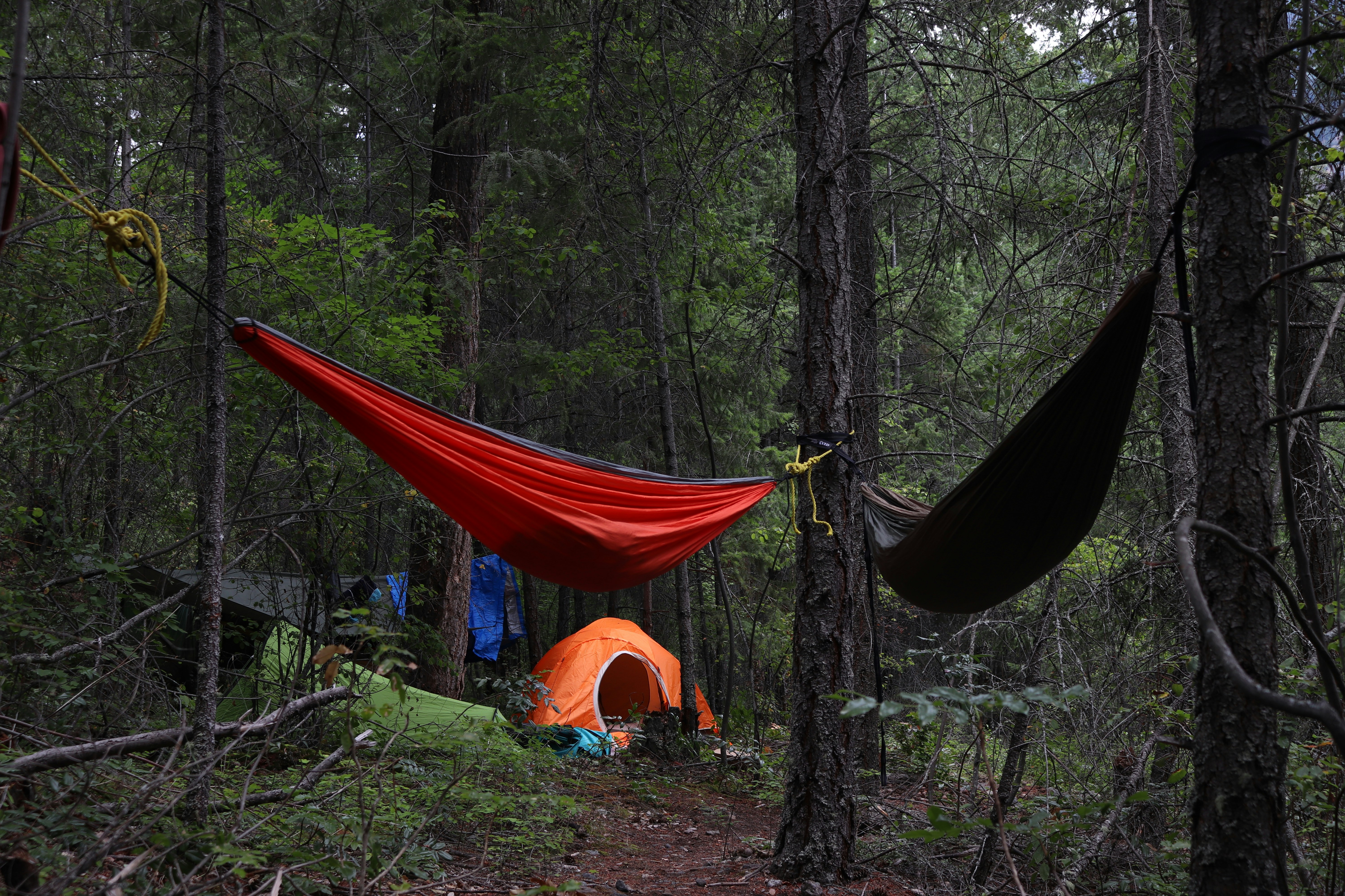 Photo by jharrynarine