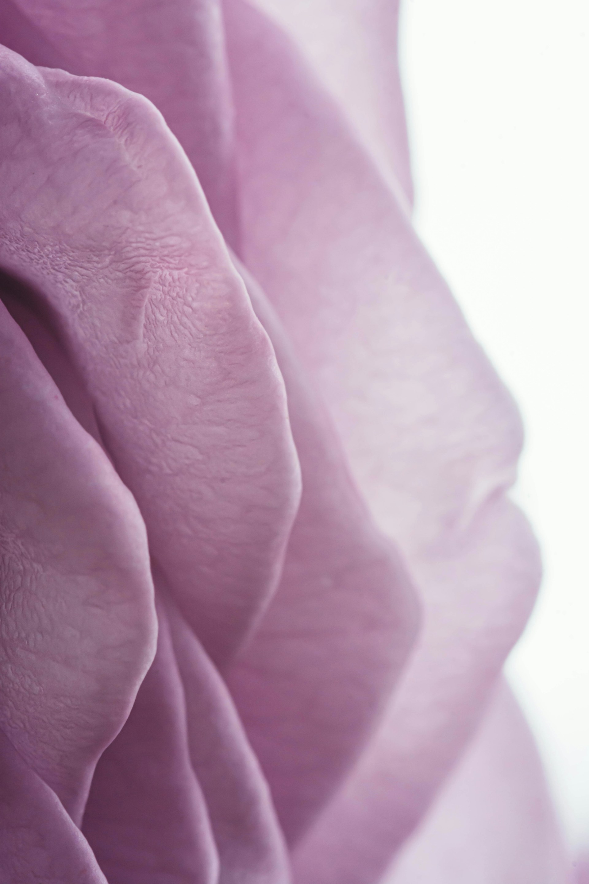 a close up of a person's hand