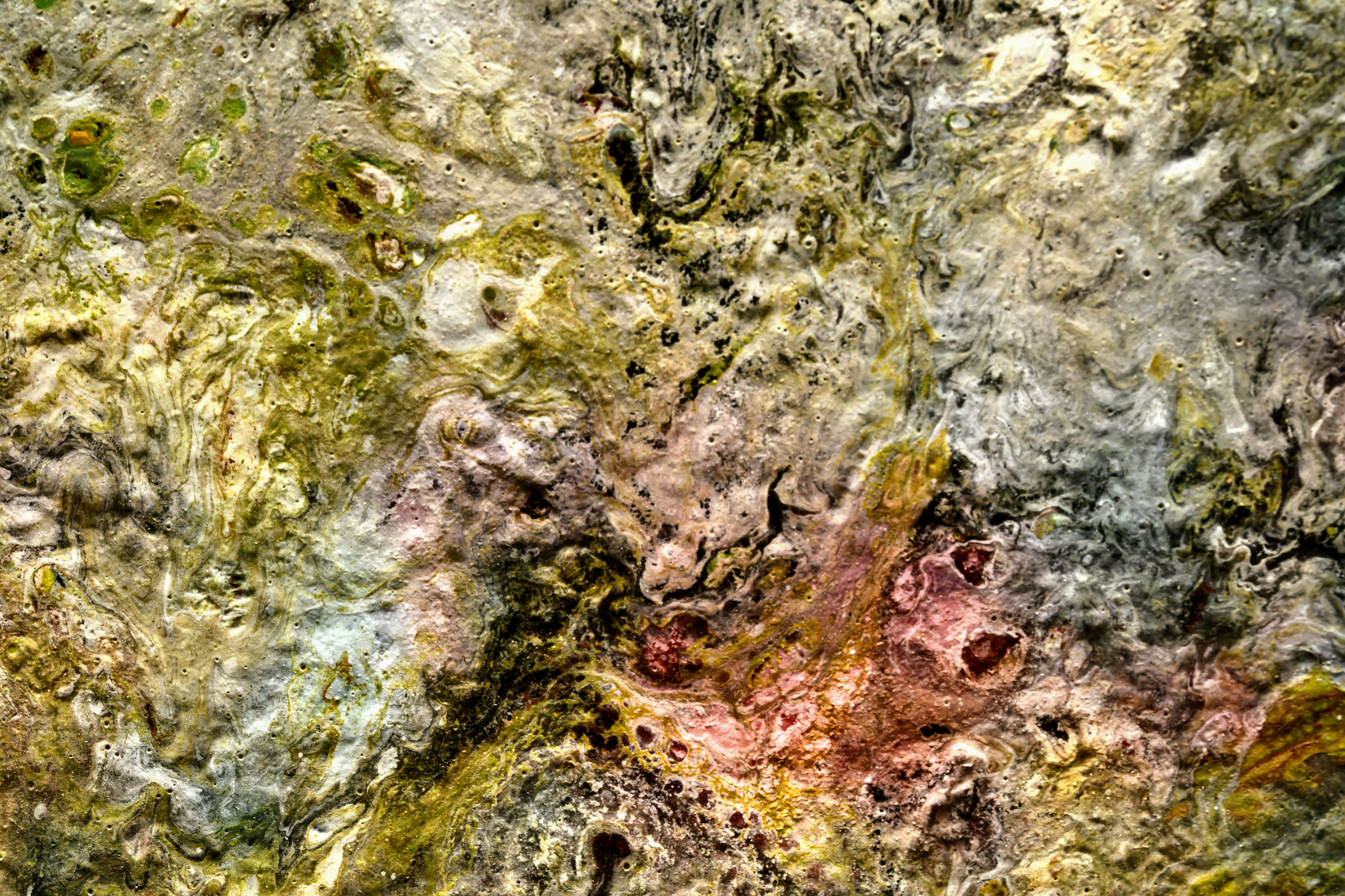 a close-up of a rock