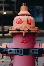A painted fire hydrant with human-like features, including red eyes and a smile, stands out on the sidewalk. It is marked with a sign reading 'METRO WATER SERVICES'.