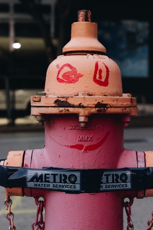 A painted fire hydrant with human-like features, including red eyes and a smile, stands out on the sidewalk. It is marked with a sign reading 'METRO WATER SERVICES'.