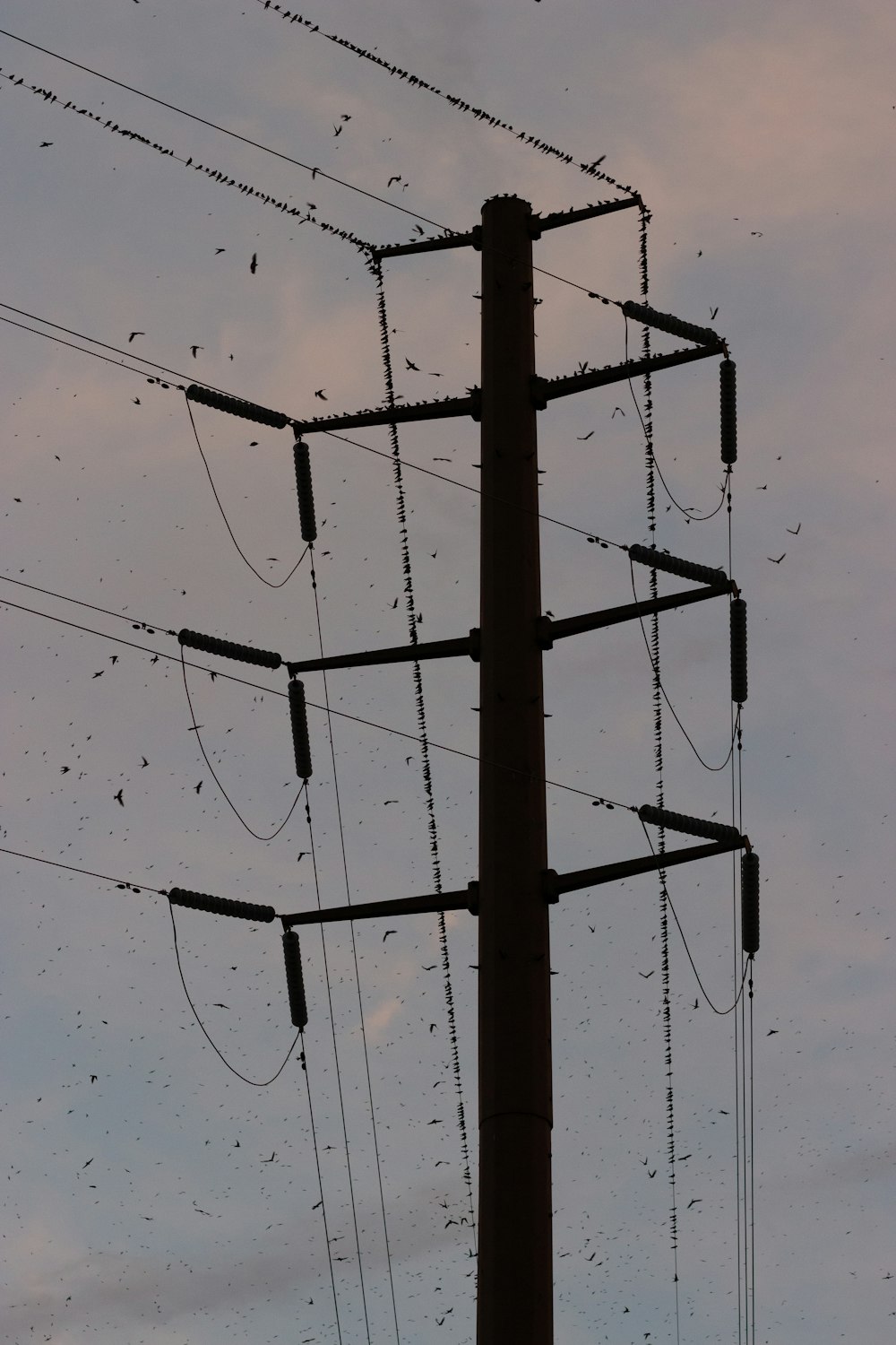 a power line with many wires