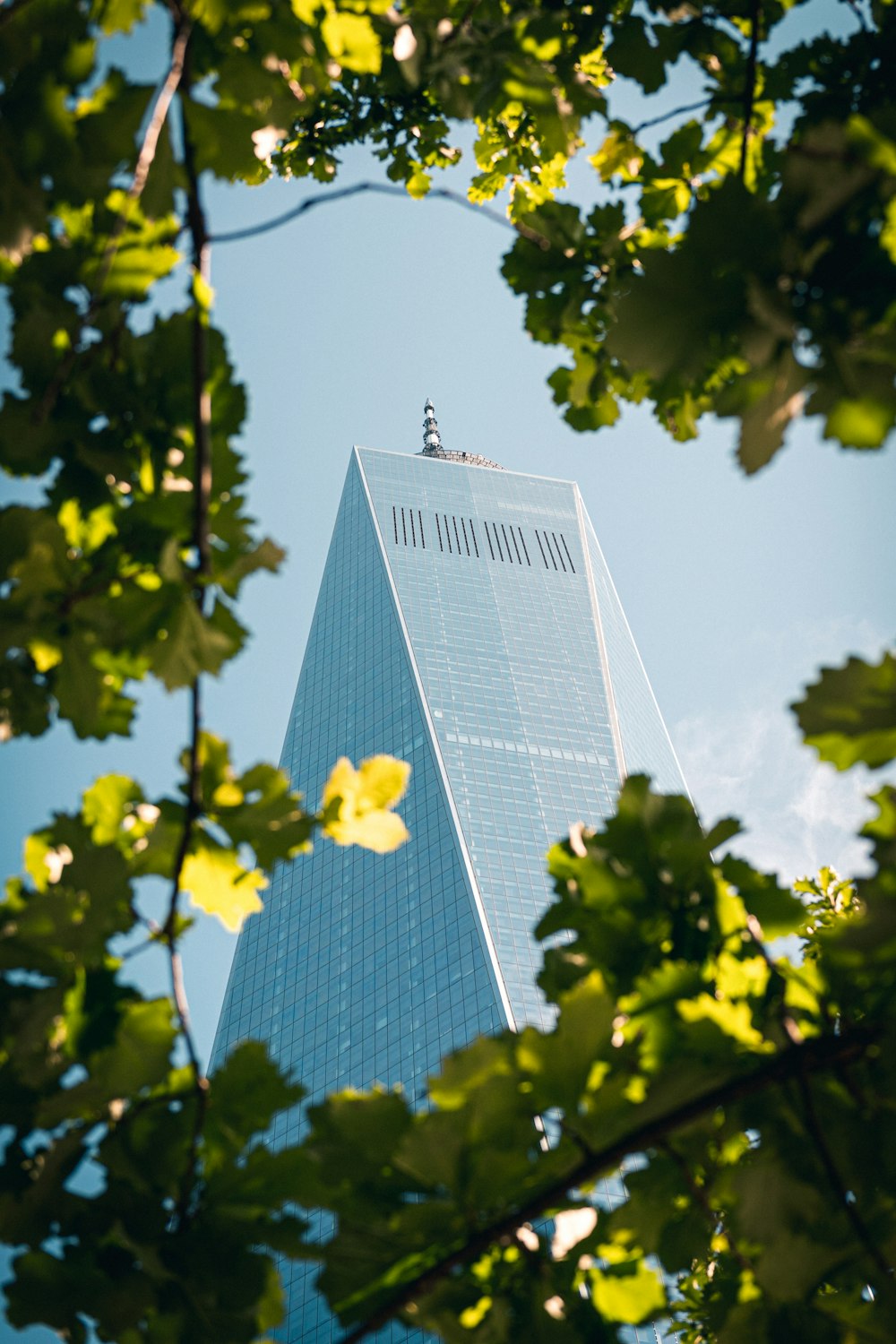 a tall glass building