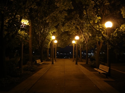 a sidewalk with benches and trees