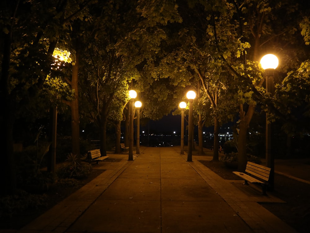 un trottoir avec des bancs et des arbres