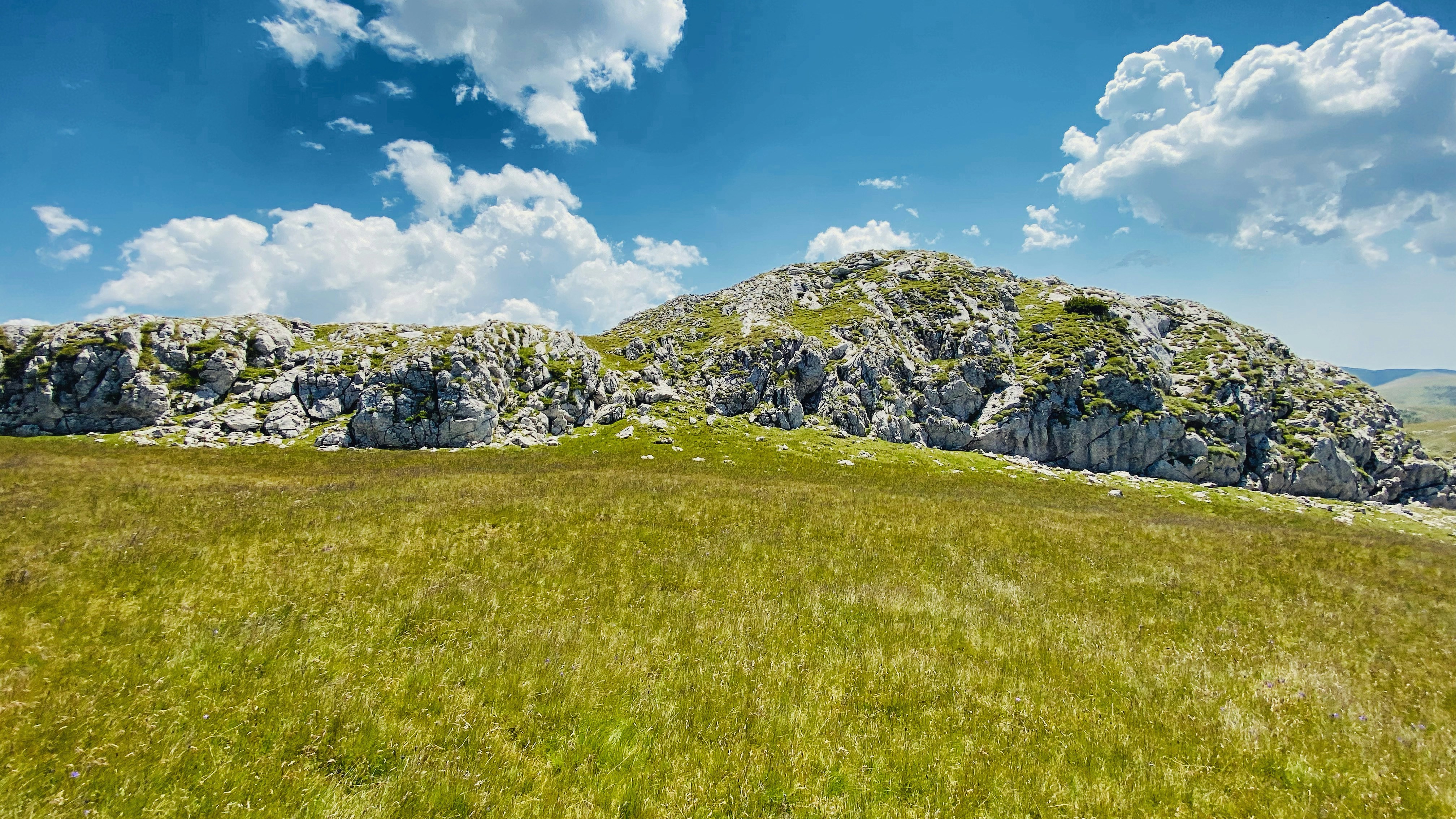 Photo by dasdasha2015