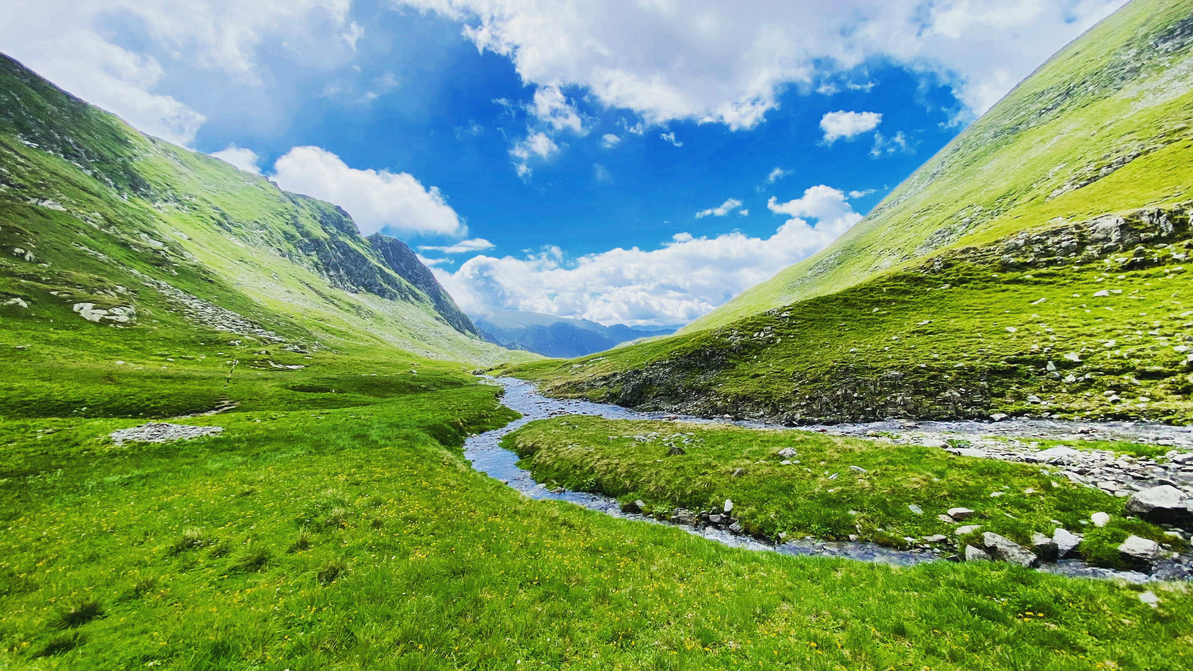 Photo by dasdasha2015