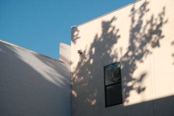 The photograph captures the side of a building with a minimalist architectural design. A light beige wall features a single window partially shadowed by the silhouette of tree branches. The sky is clear and blue, adding a serene backdrop to the scene. The sunlight creates dynamic shadows on the wall, adding depth and interest.