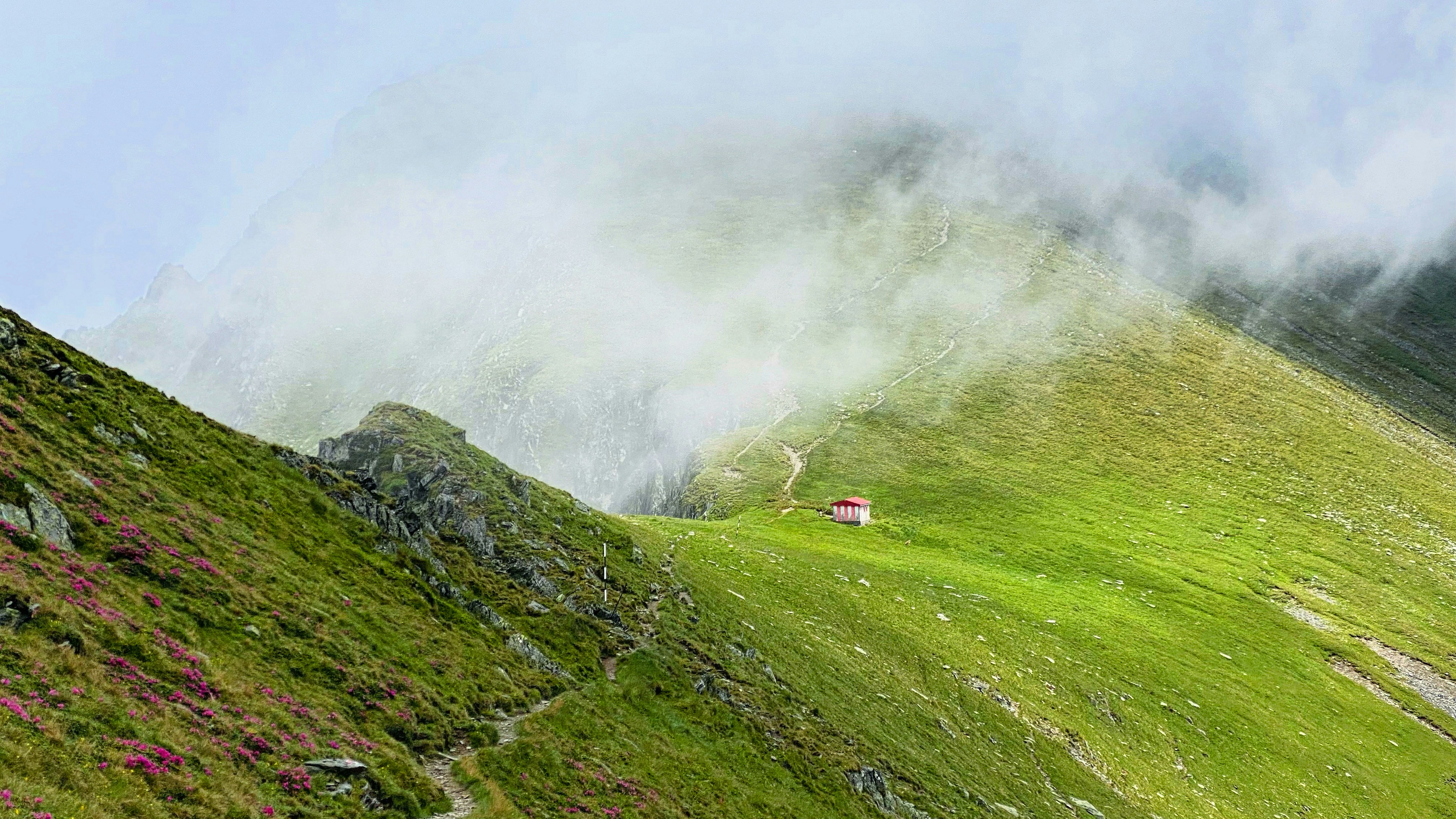 Photo by dasdasha2015