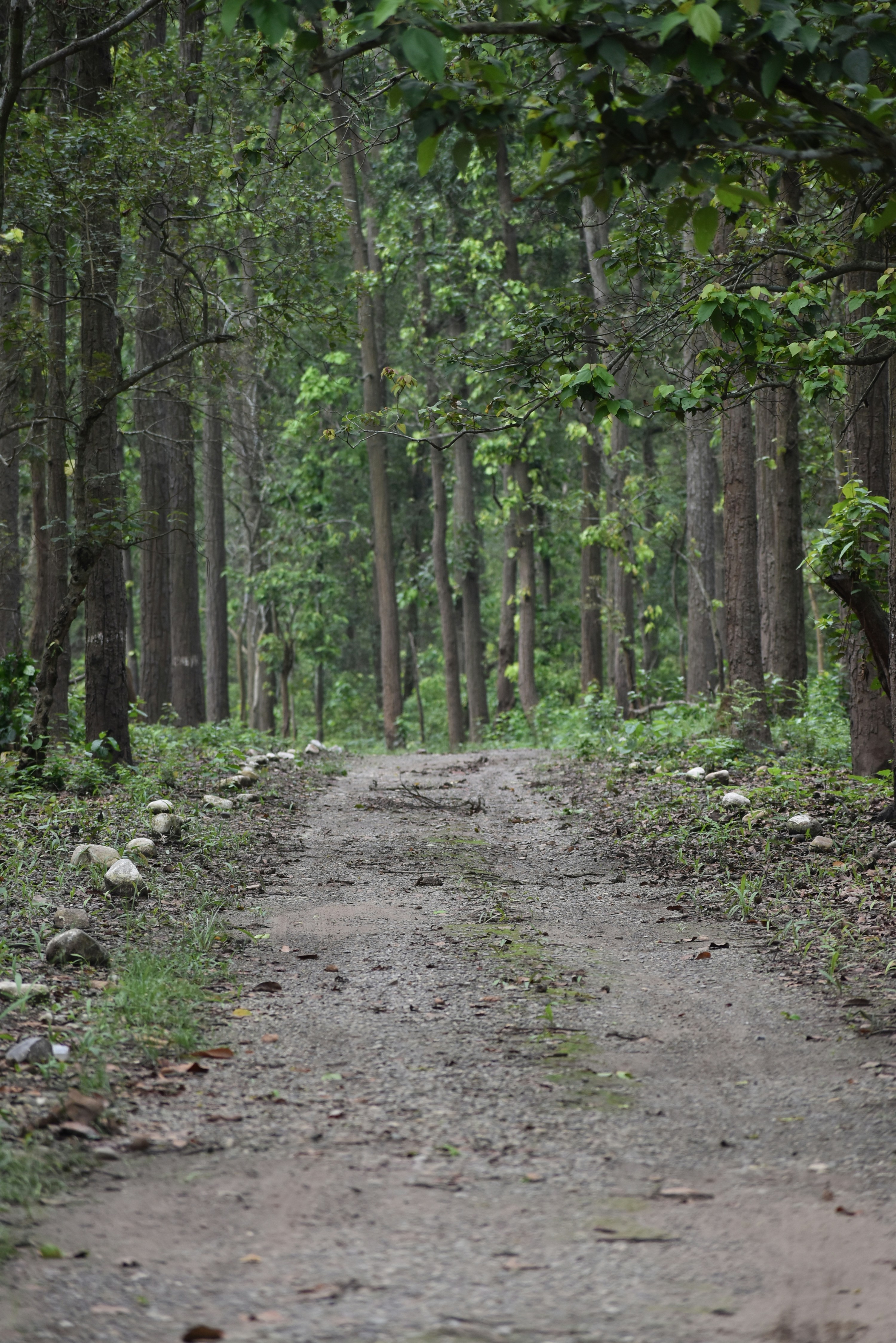 Photo by abhiaswal80