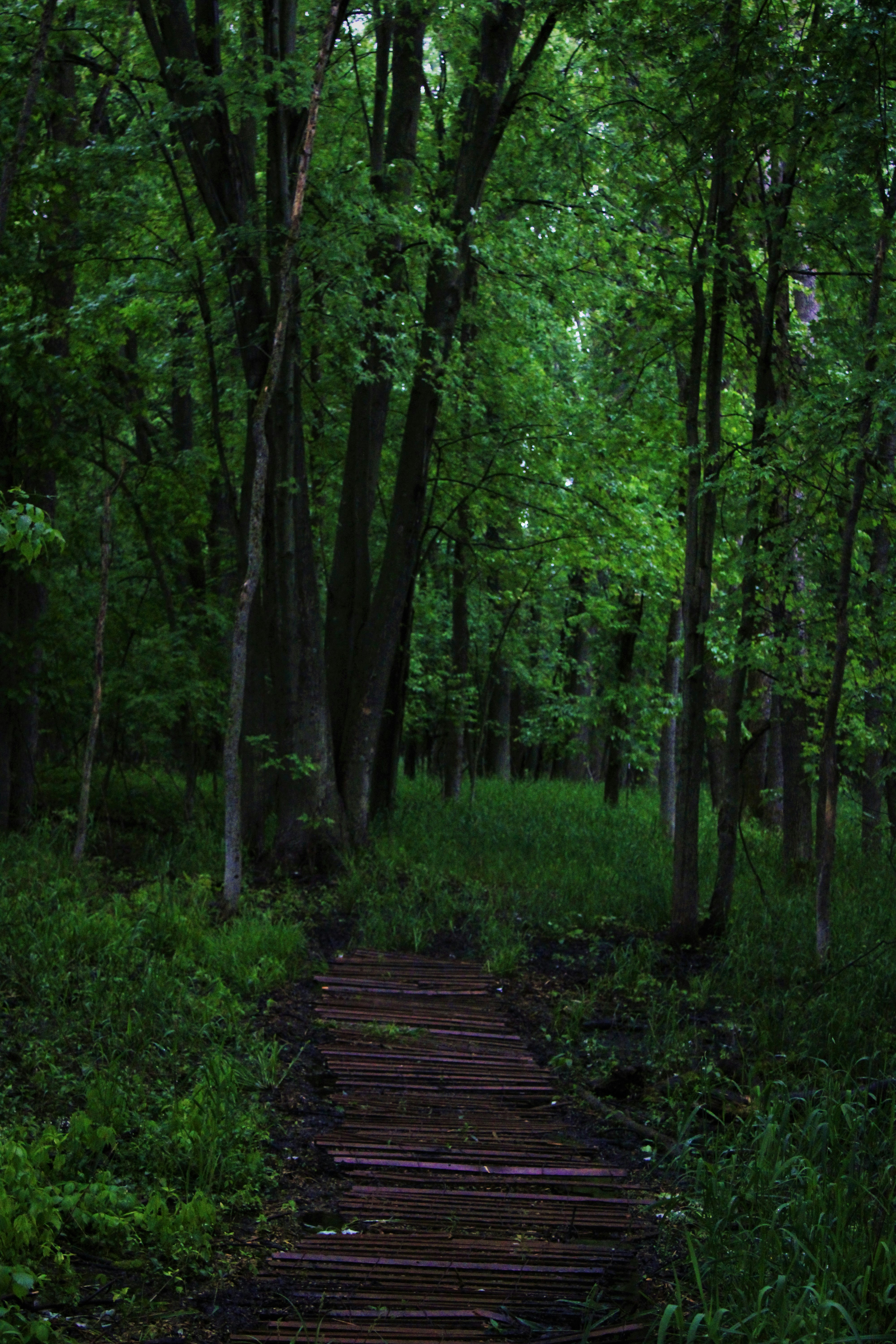 Photo by kruegerelliot