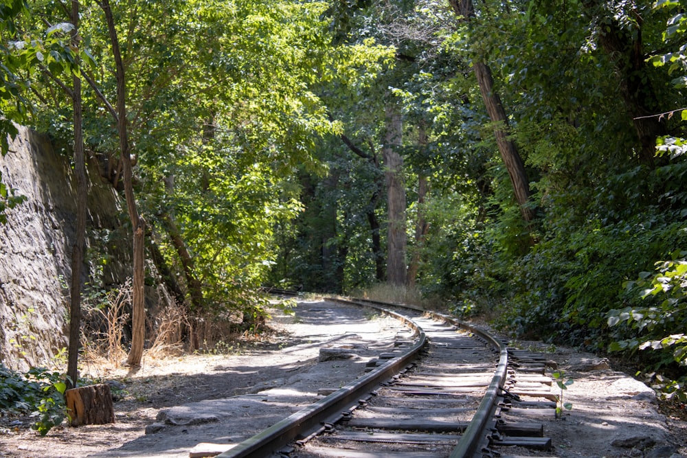 a railroad track in the woods