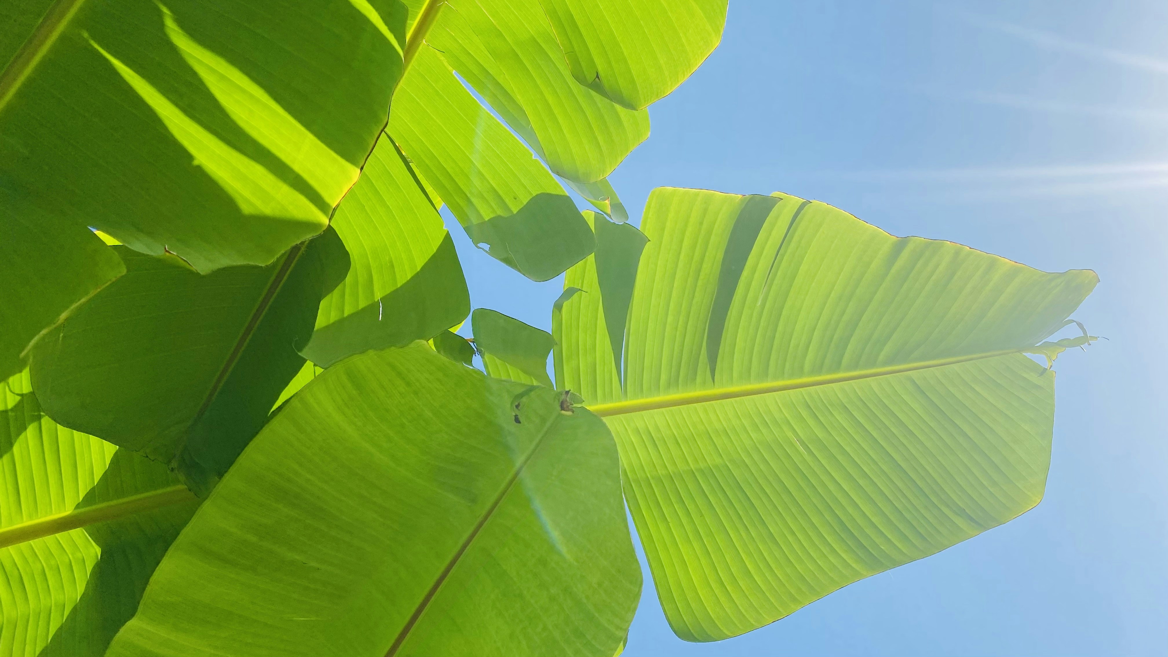 Photo by dasdasha2015