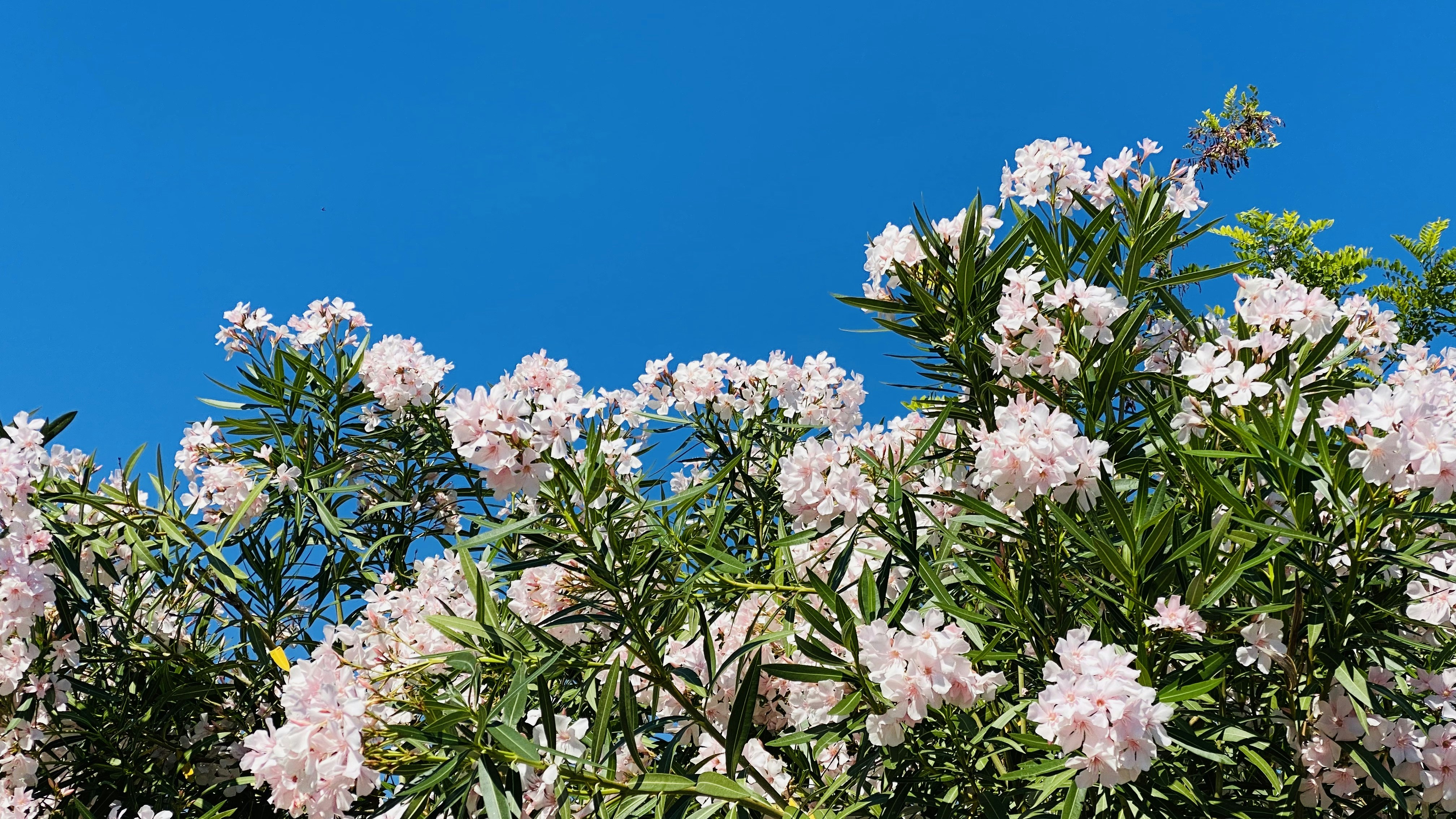 Photo by dasdasha2015