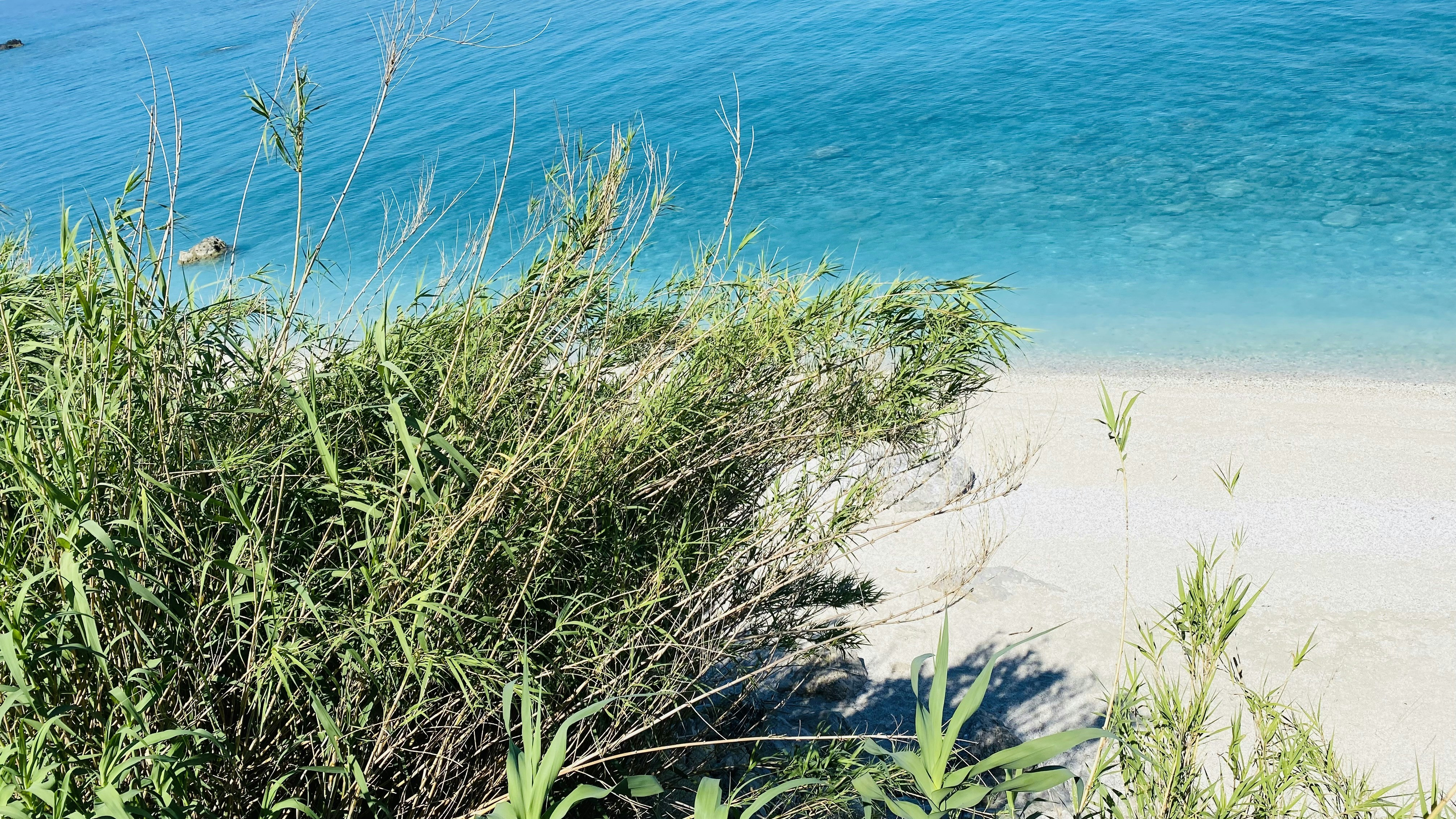 Photo by dasdasha2015