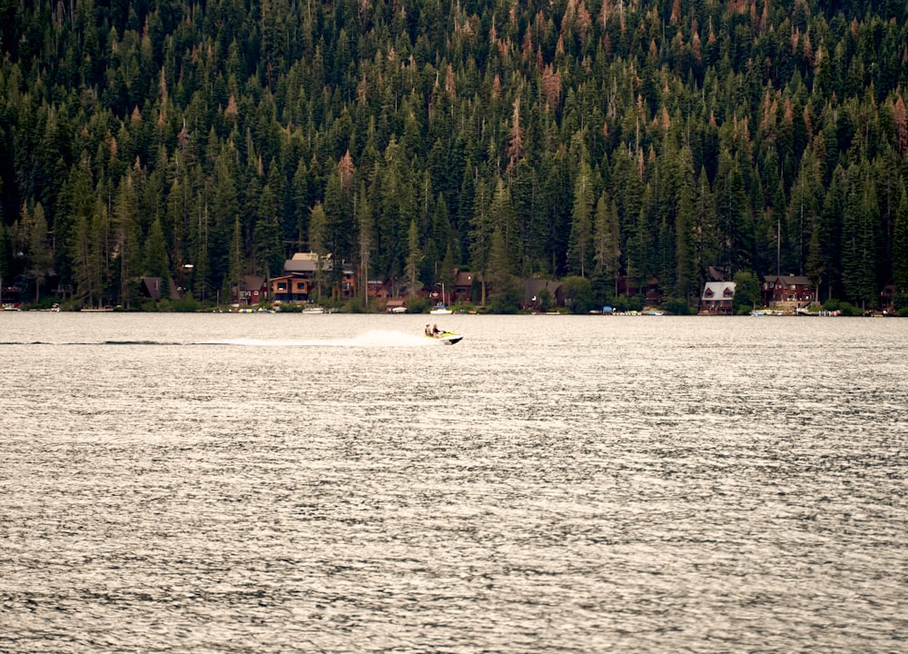 a person swimming in a lake